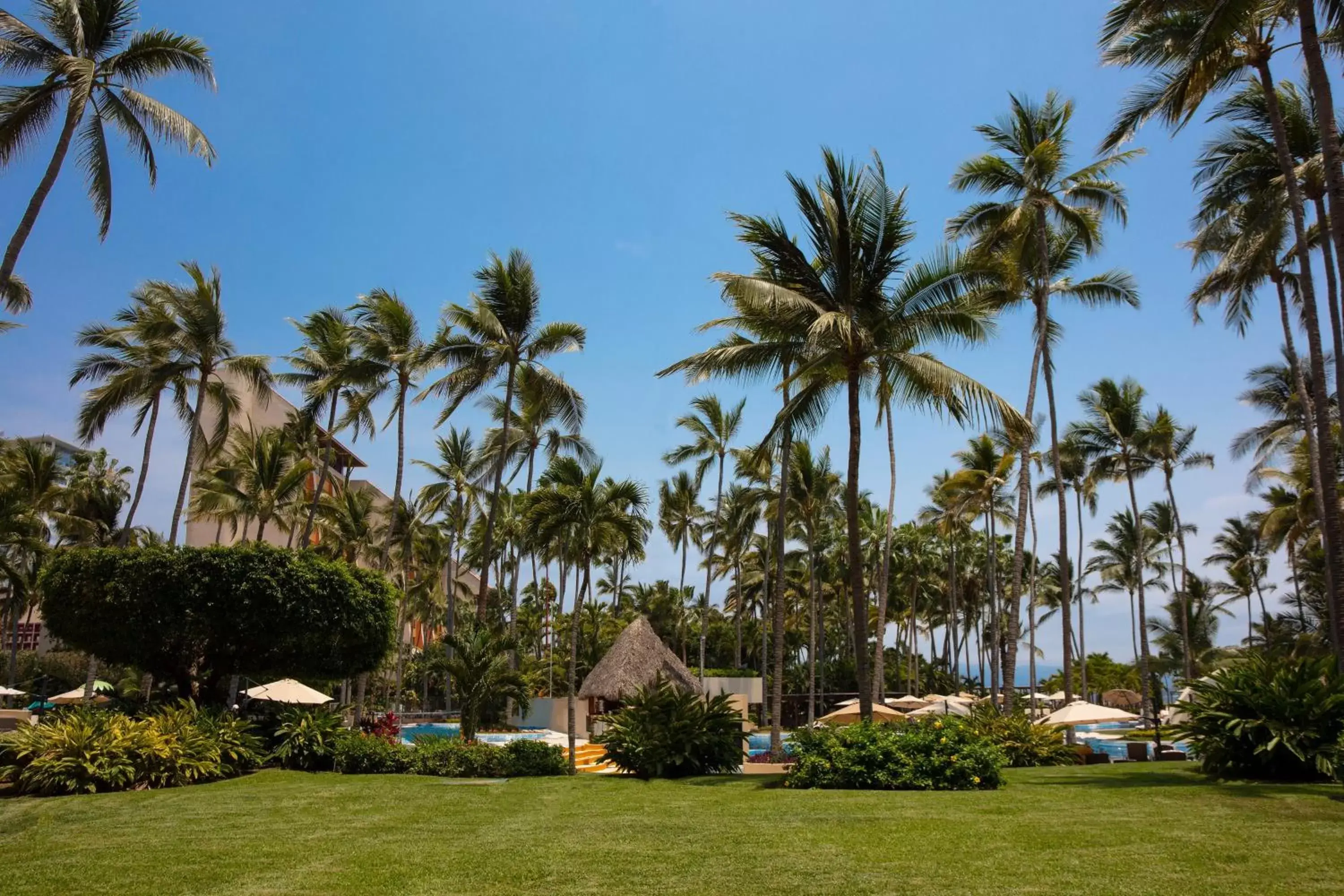 Photo of the whole room, Garden in The Westin Resort & Spa, Puerto Vallarta