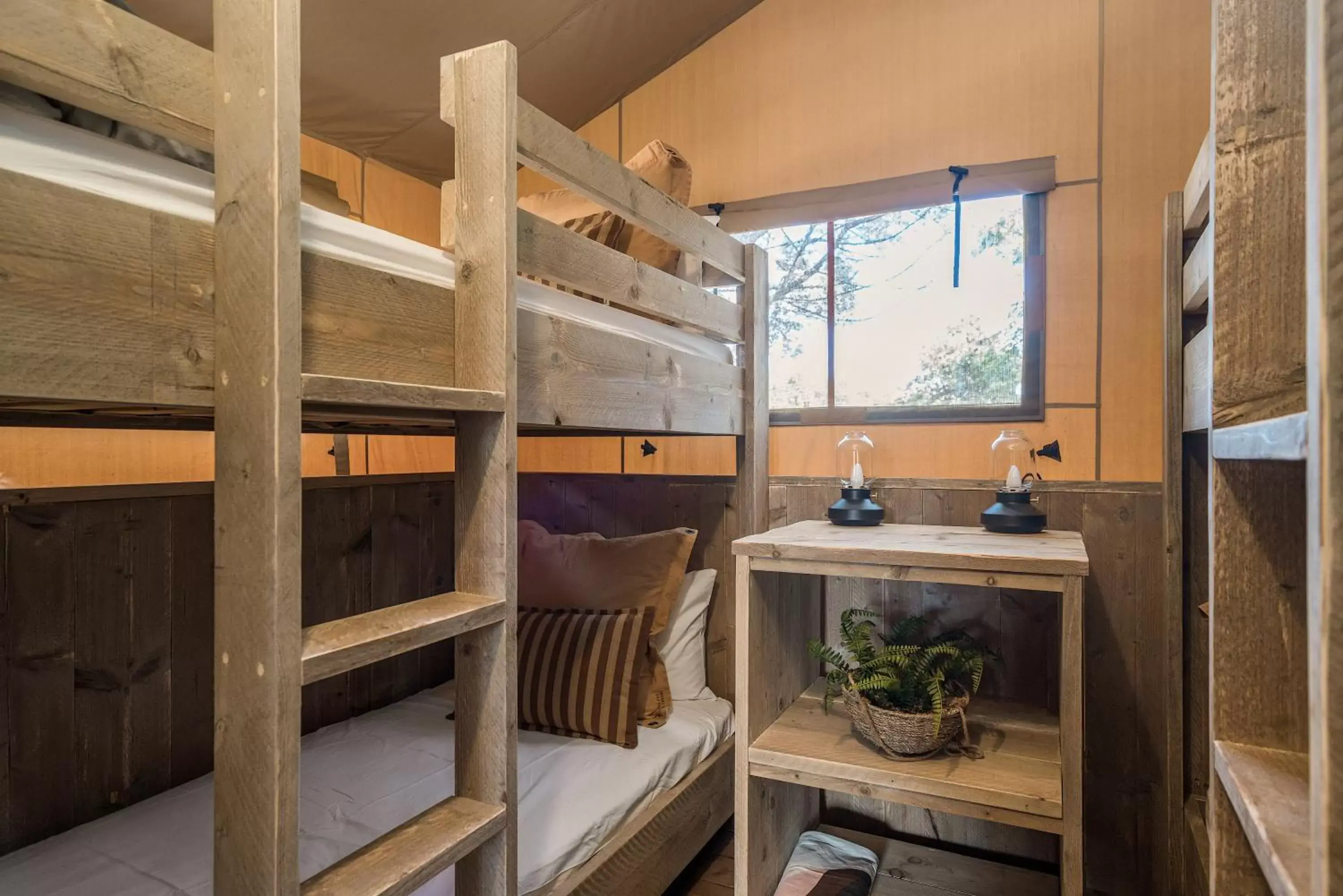 bunk bed in Ballina Beach Nature Resort