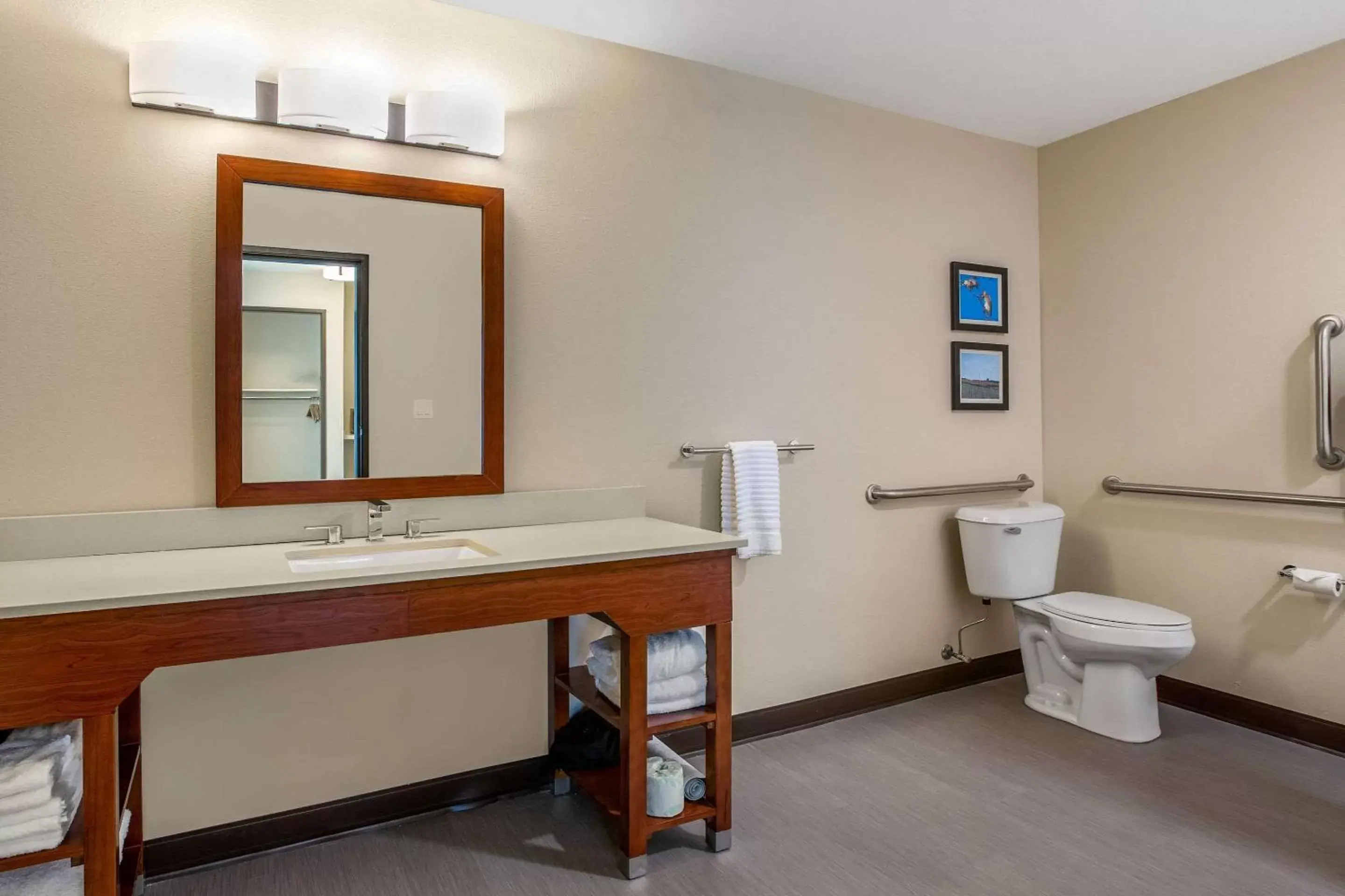 Bathroom in Comfort Inn and Suites Ames near ISU Campus