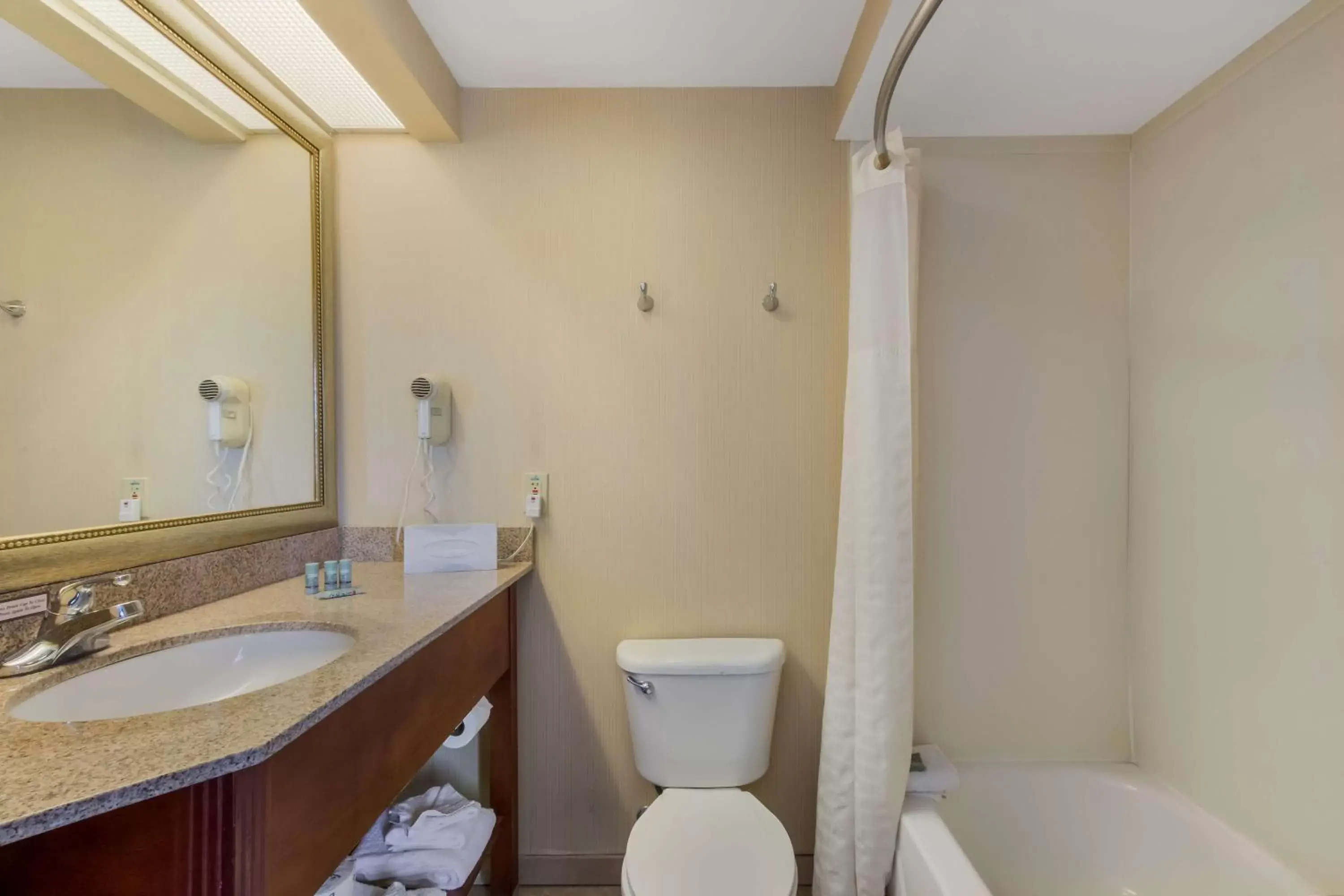 Bathroom in SureStay Plus Hotel by Best Western Tempe University