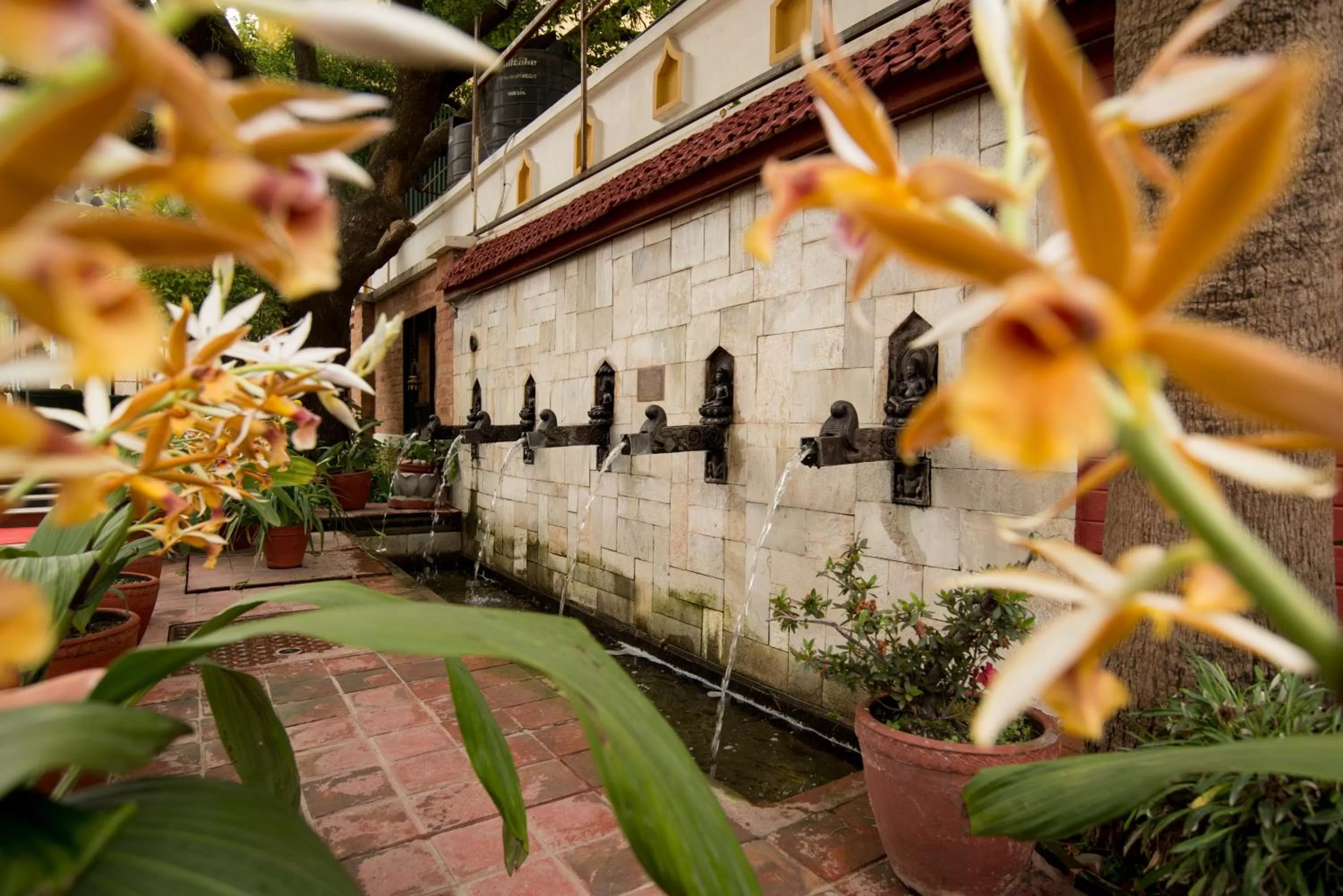 Garden in Kathmandu Guest House by KGH Group