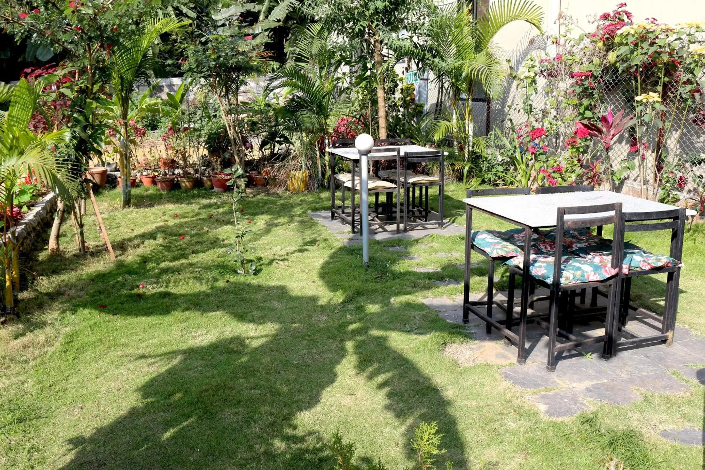 Garden in Hotel Orchid