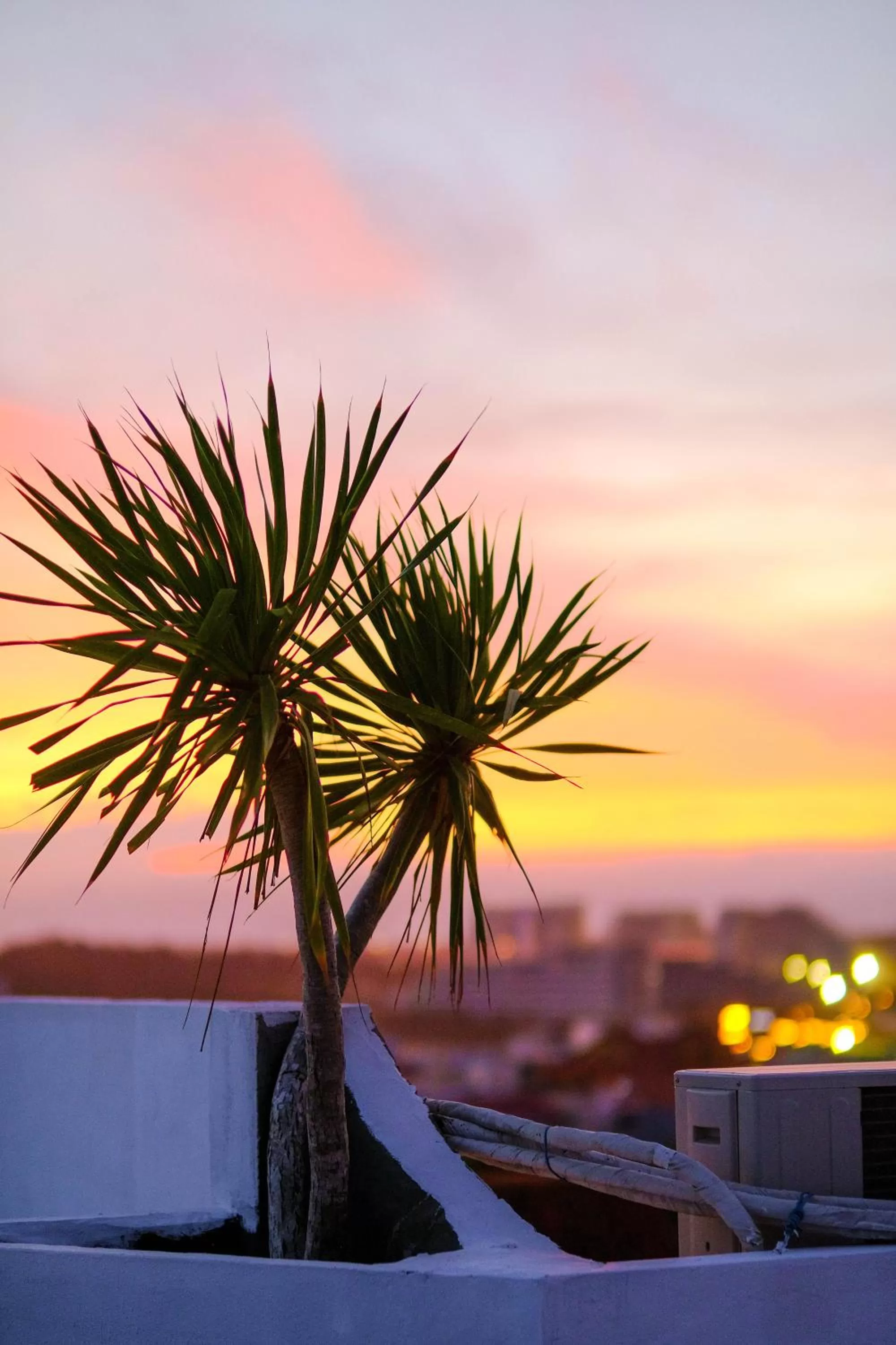 Day, Sunrise/Sunset in Eo Gió Có Homestay
