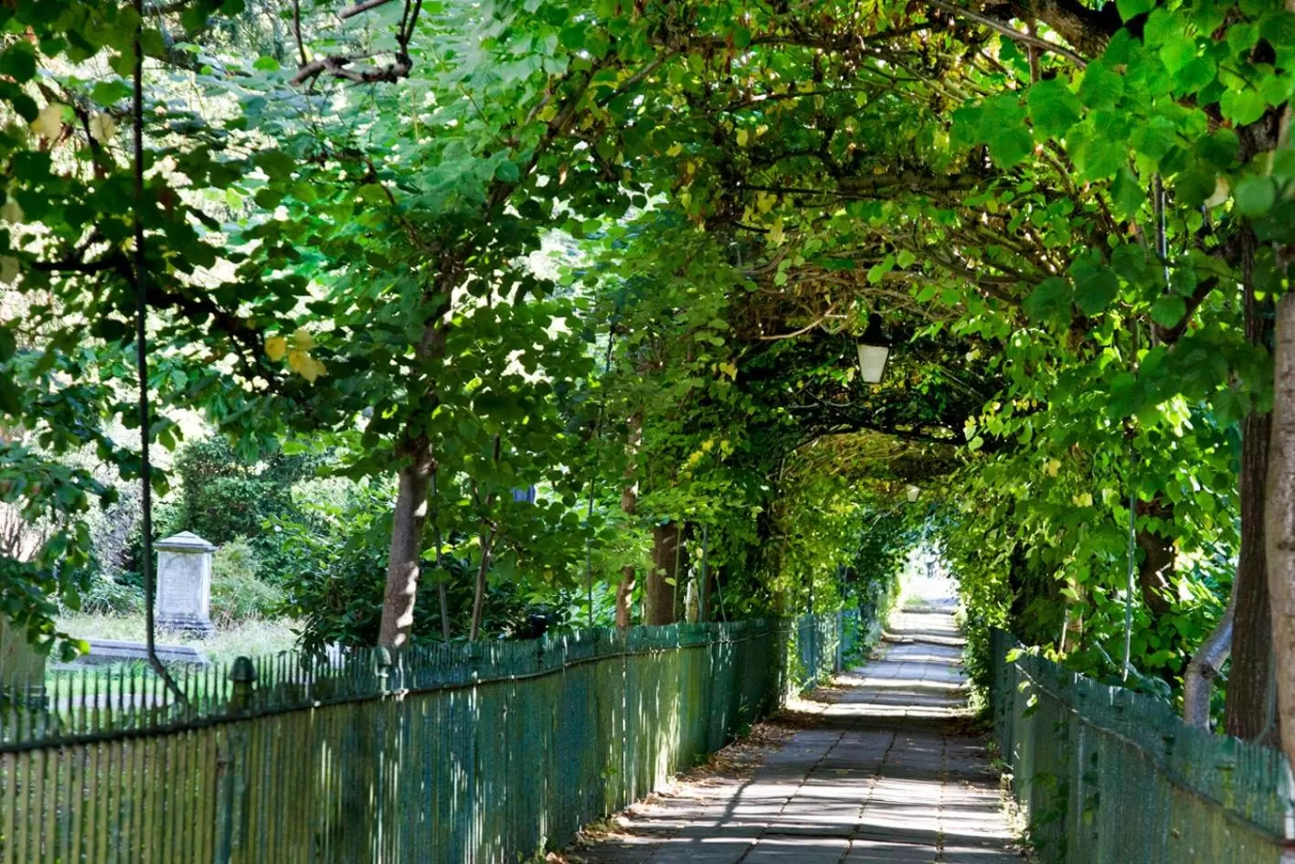 Activities in Victoria Square Hotel Clifton Village