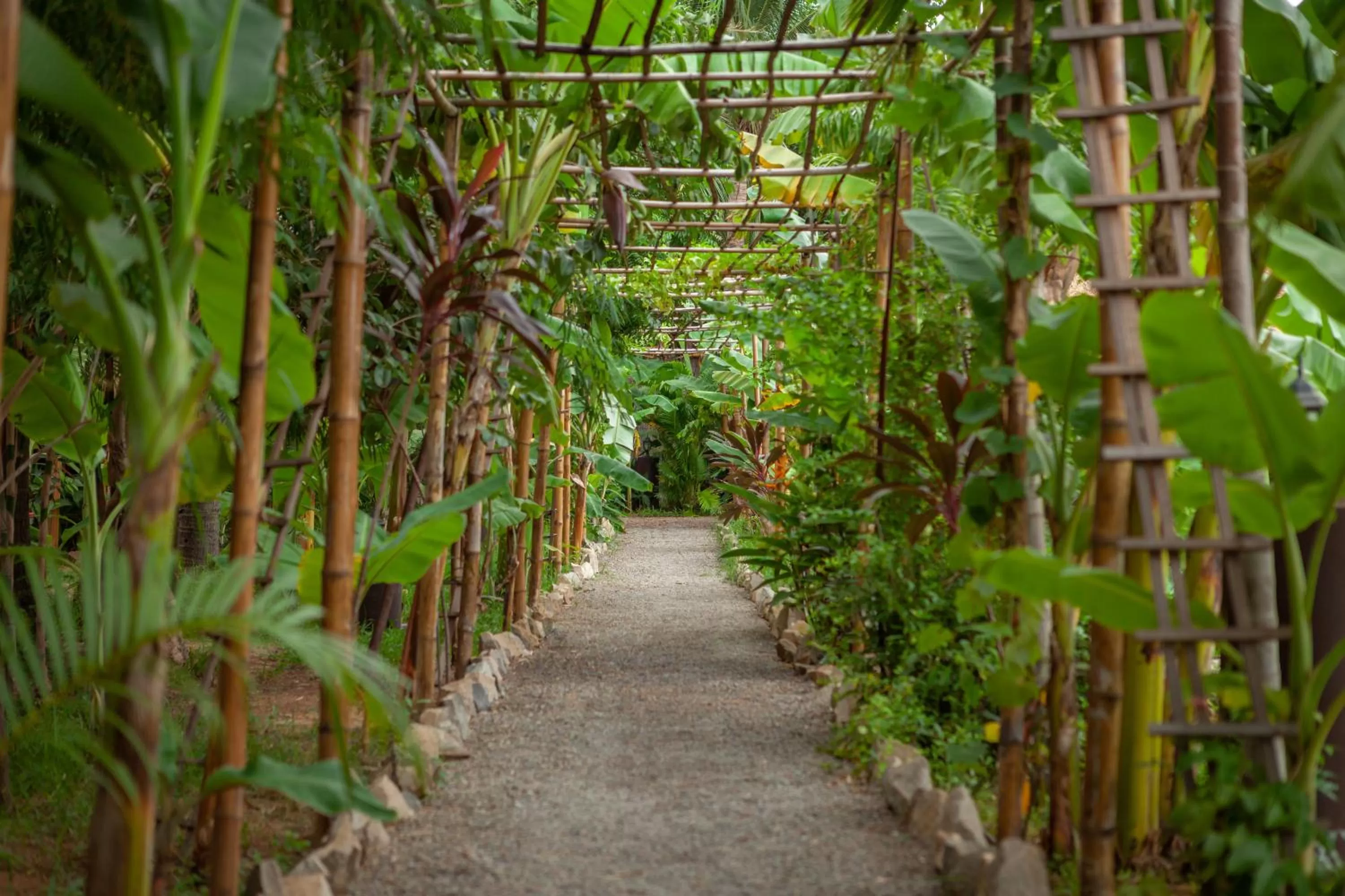 Garden in Authentic Khmer Village Resort