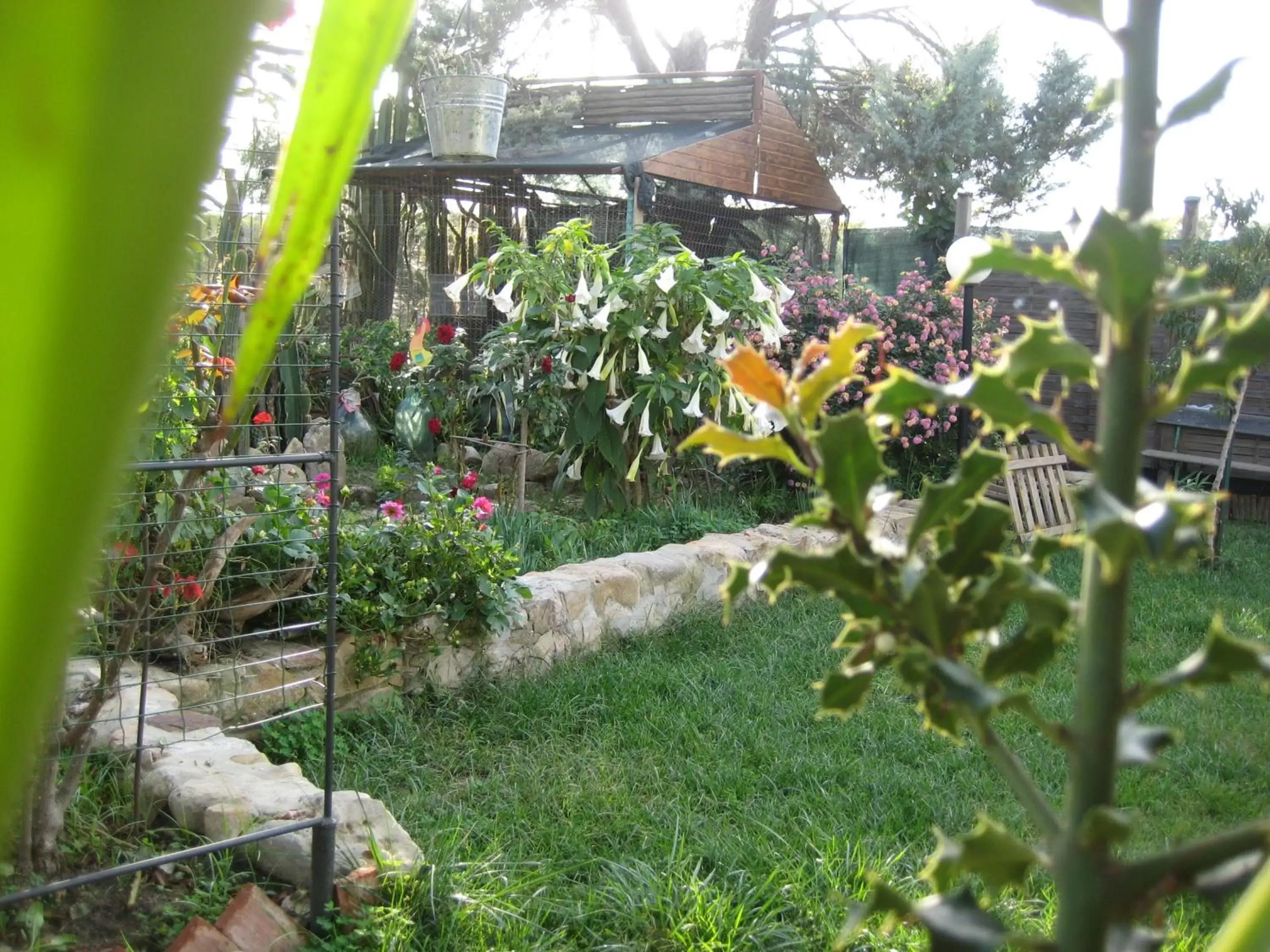 Garden in Oasi del Lago