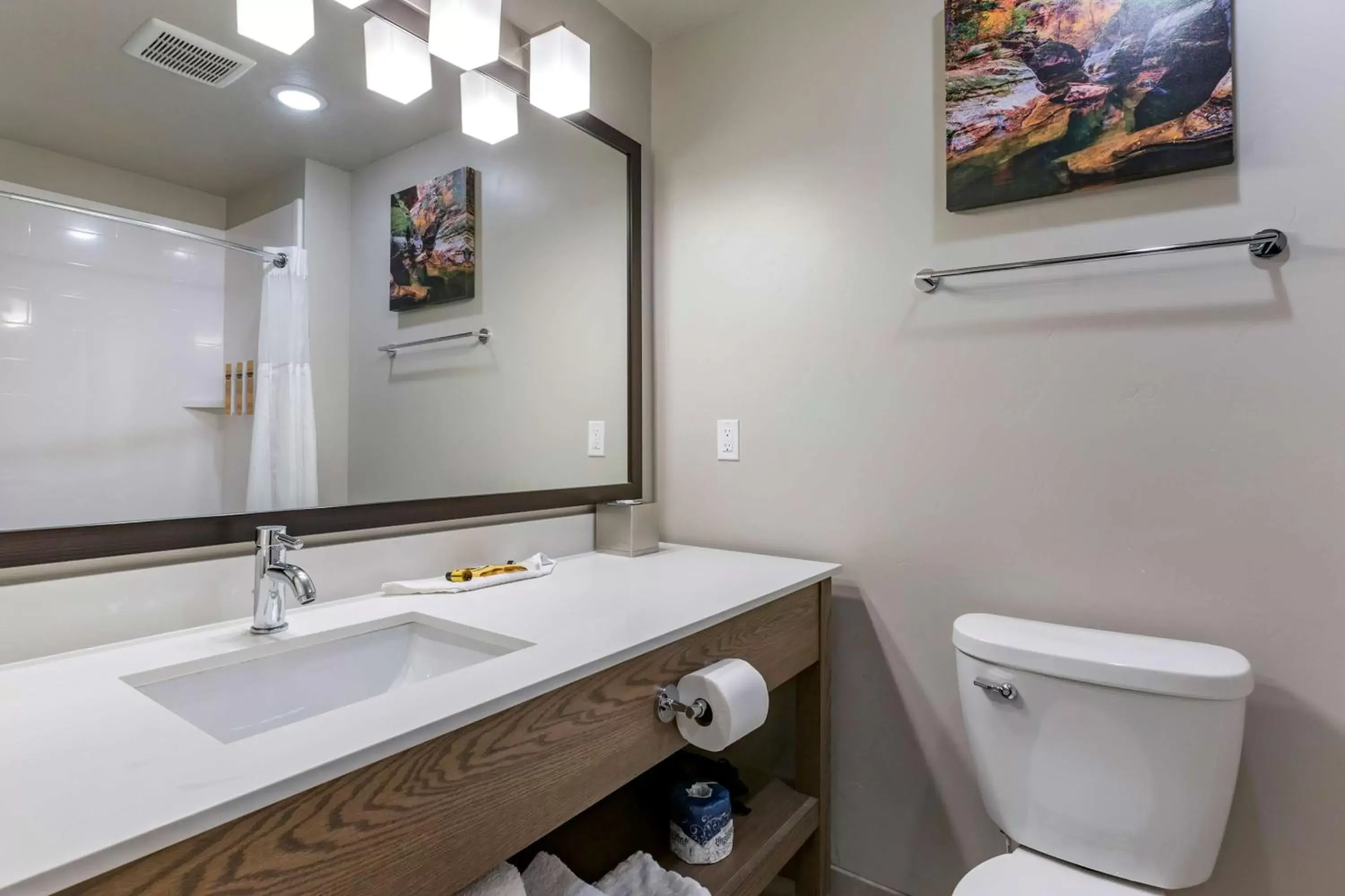 Bathroom in Best Western Plus Zion Canyon Inn & Suites