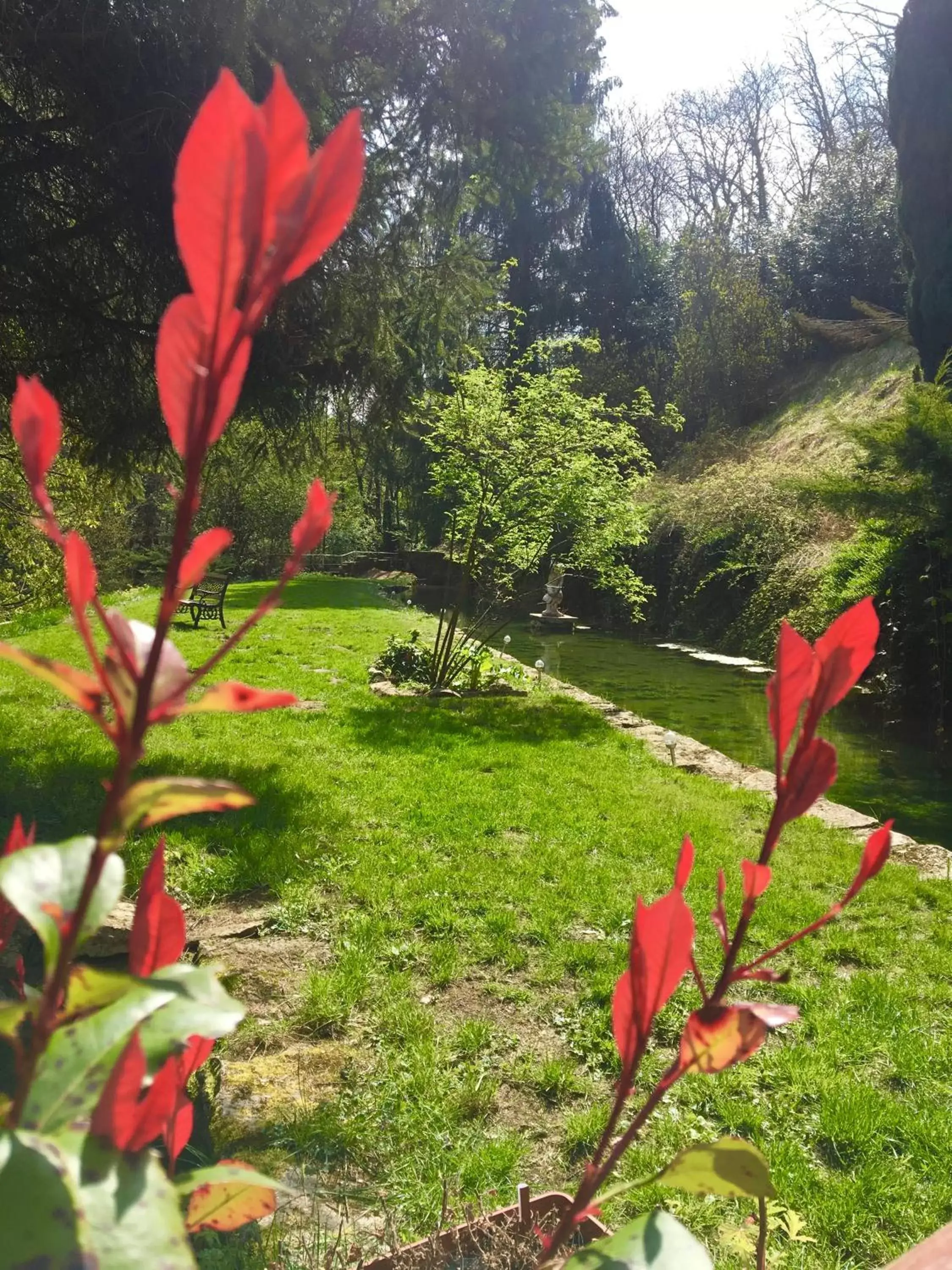 Property building, Garden in Domaine Du Moulin Vallée Heureuse