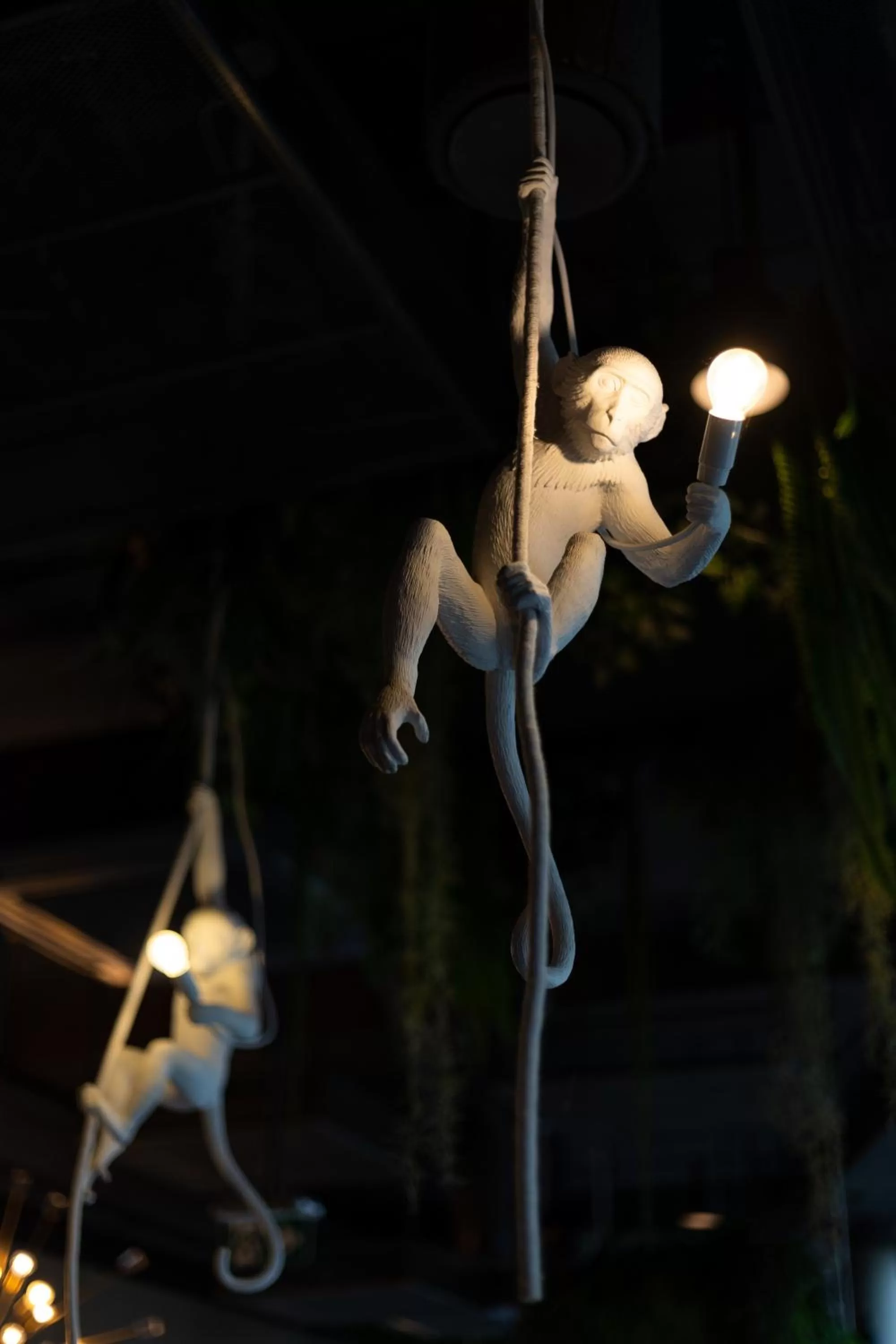 Night in Hotel Zoo by Afrykarium Wroclaw