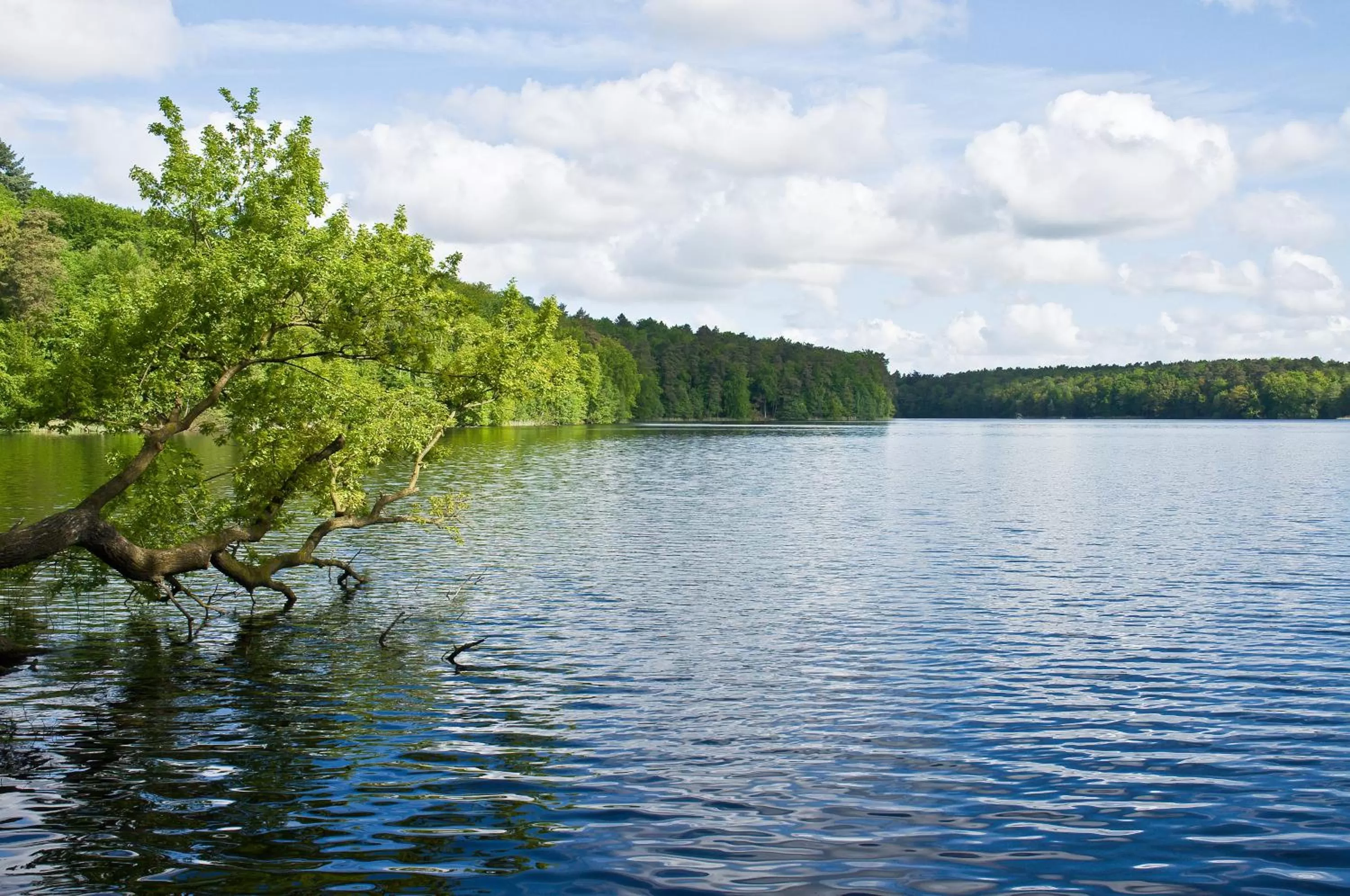 Natural landscape in Hotel Quellenhof