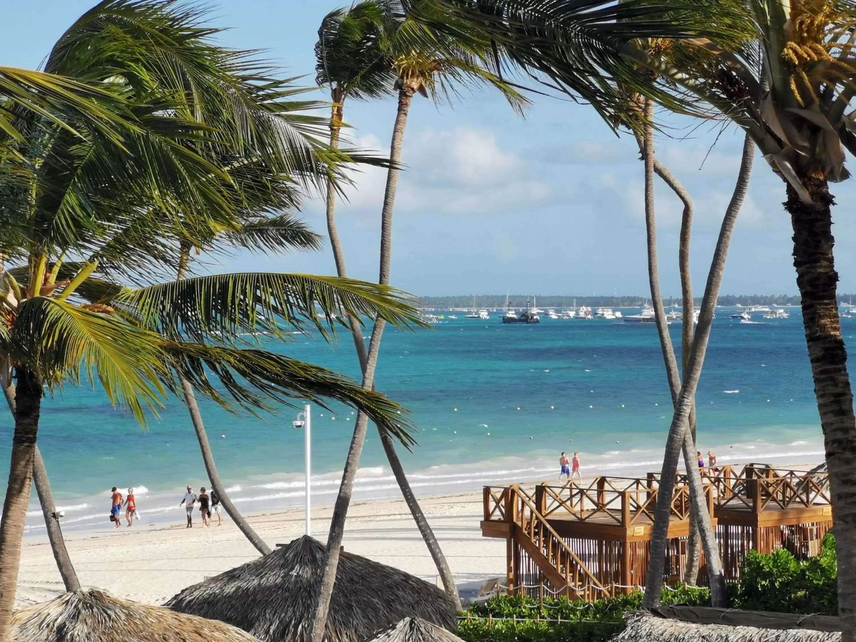 Beach in Villas Tropical Los Corales Beach & Spa