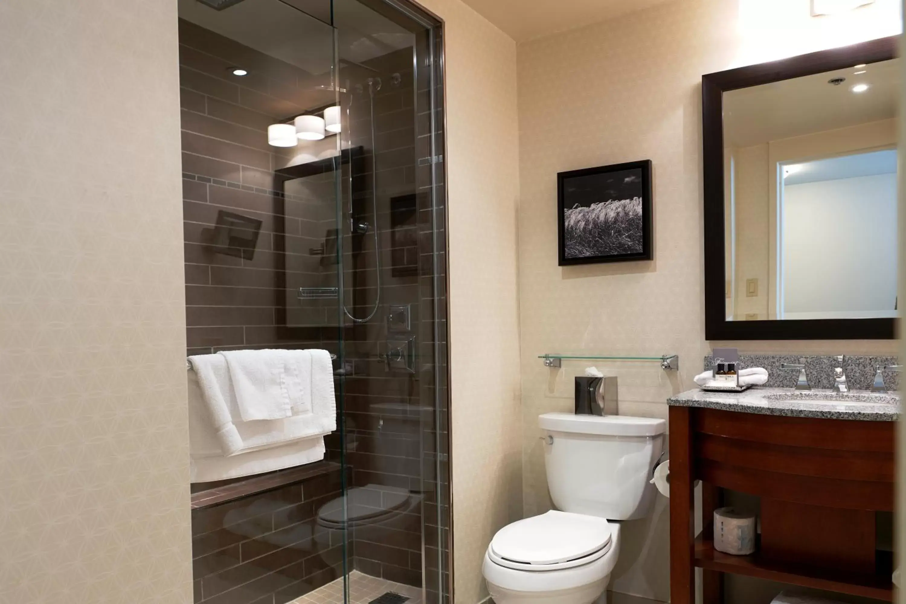 Shower, Bathroom in Fairmont Winnipeg