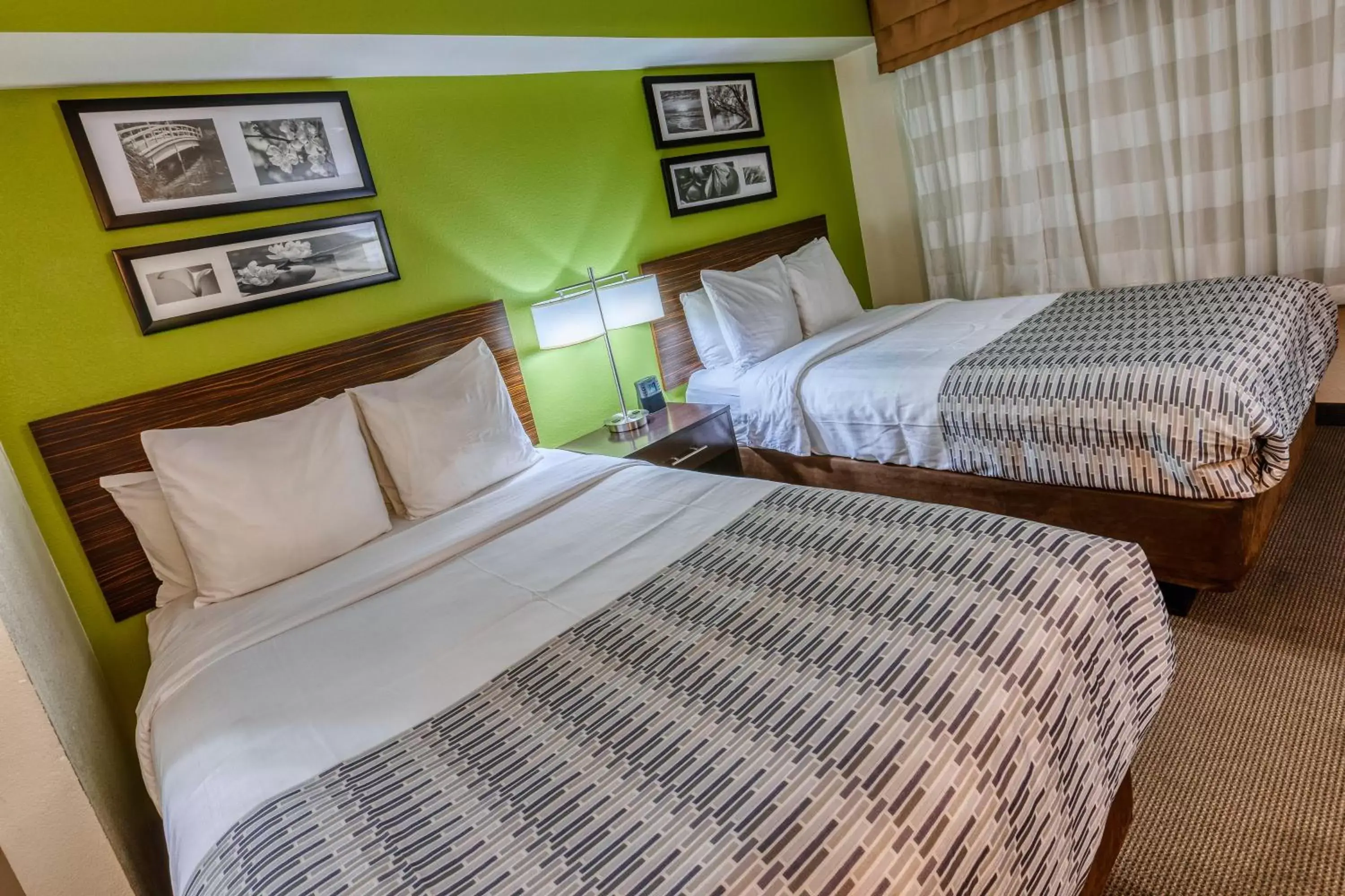 Bedroom, Bed in Surestay Plus Hotel by Best Western Superstition Springs