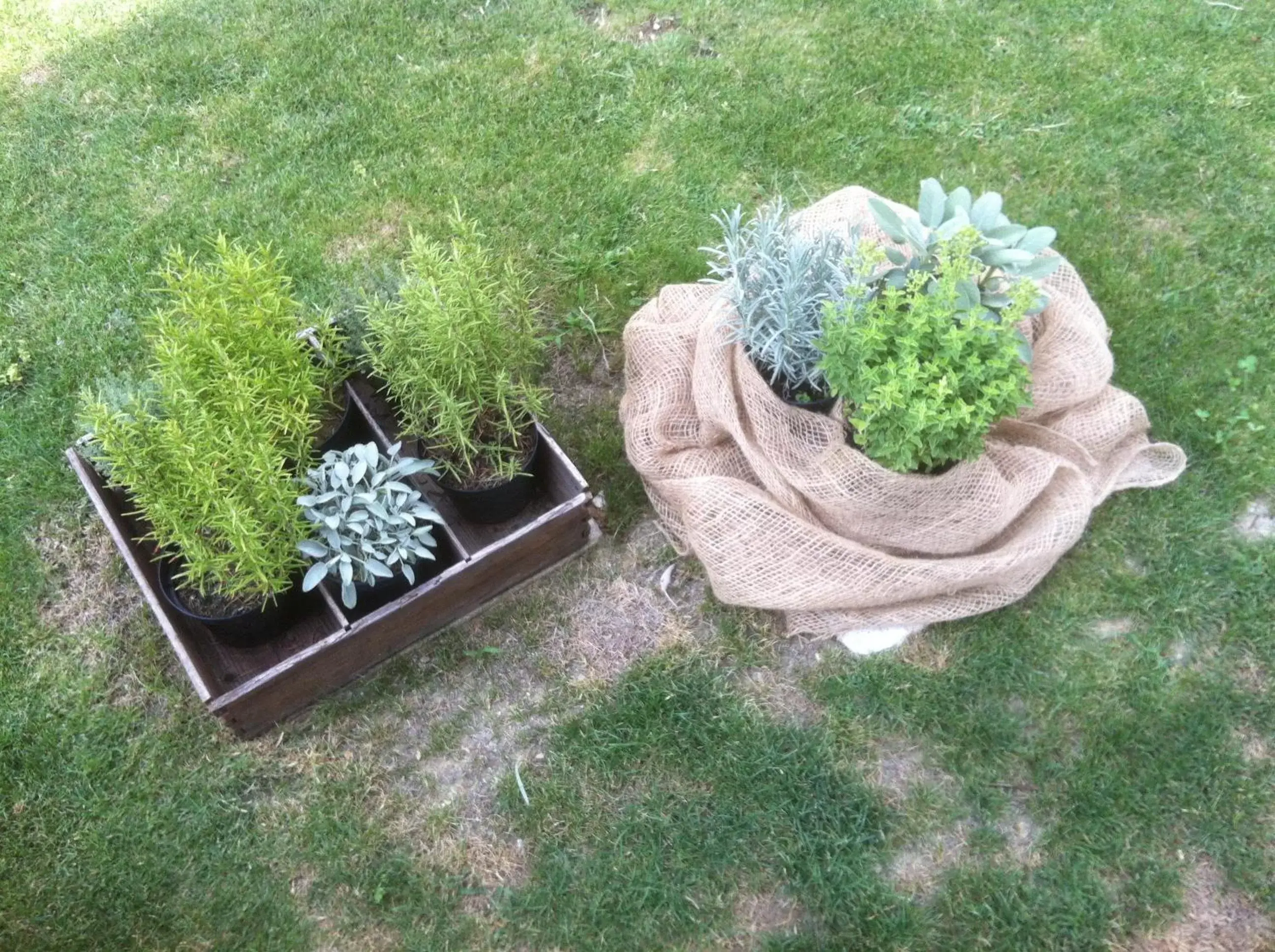 Garden, Patio/Outdoor Area in Il Casale Del Giglio