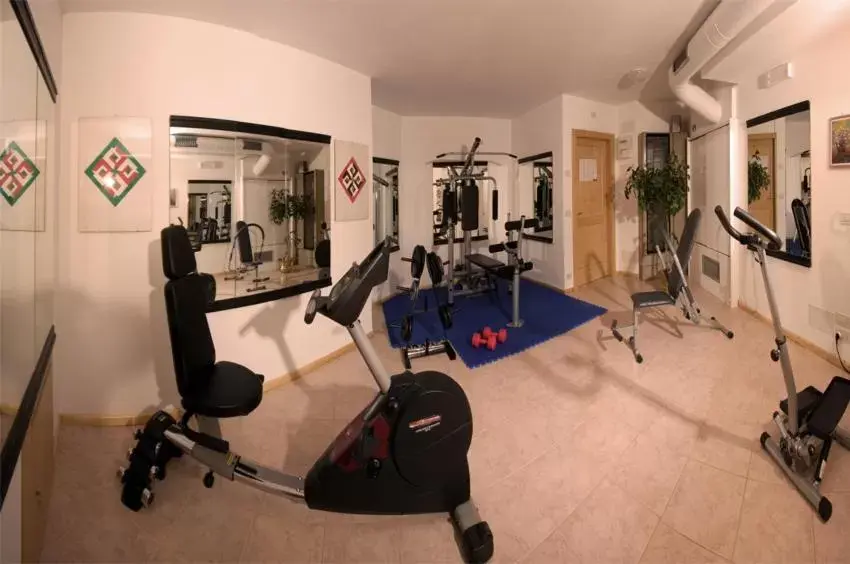 Fitness centre/facilities, Fitness Center/Facilities in Hotel Bonapace ***S