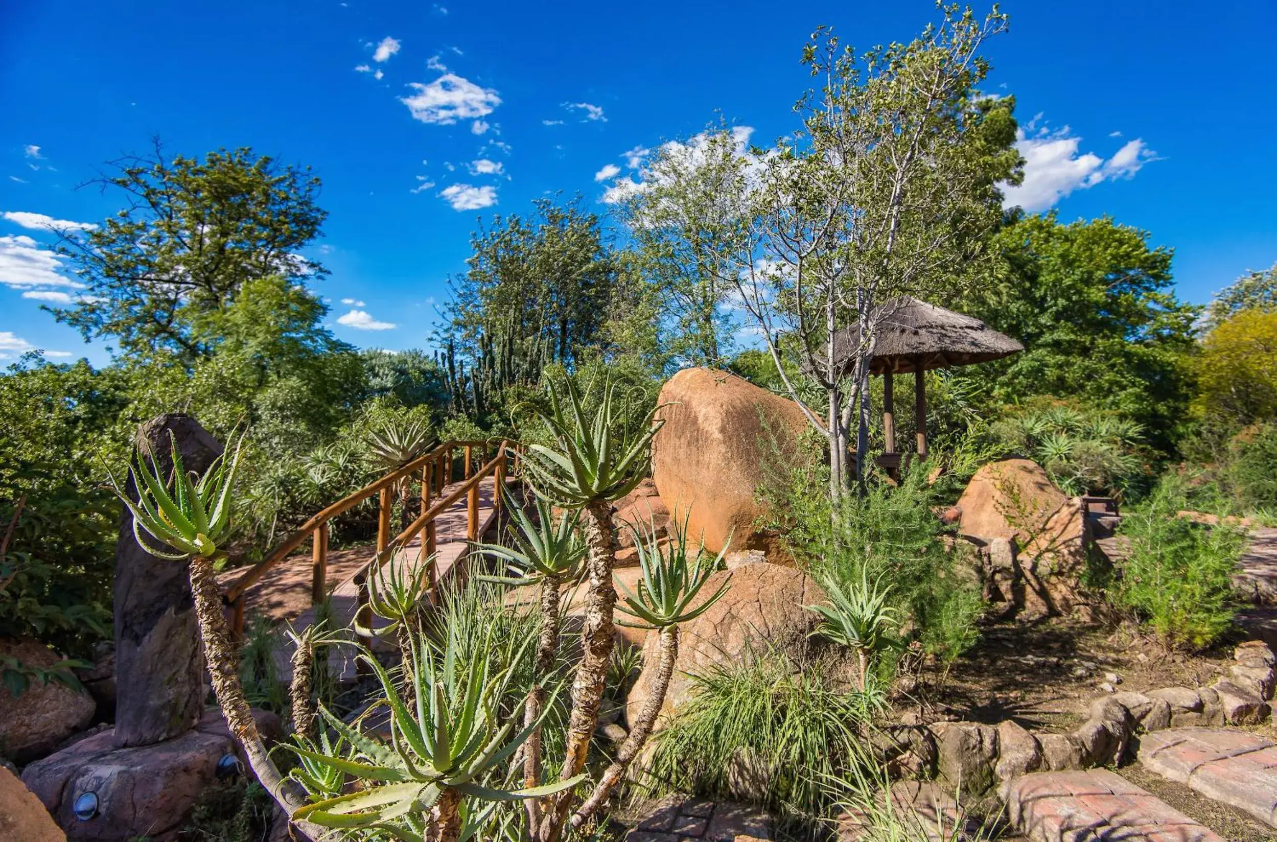 Garden in Amadwala Lodge