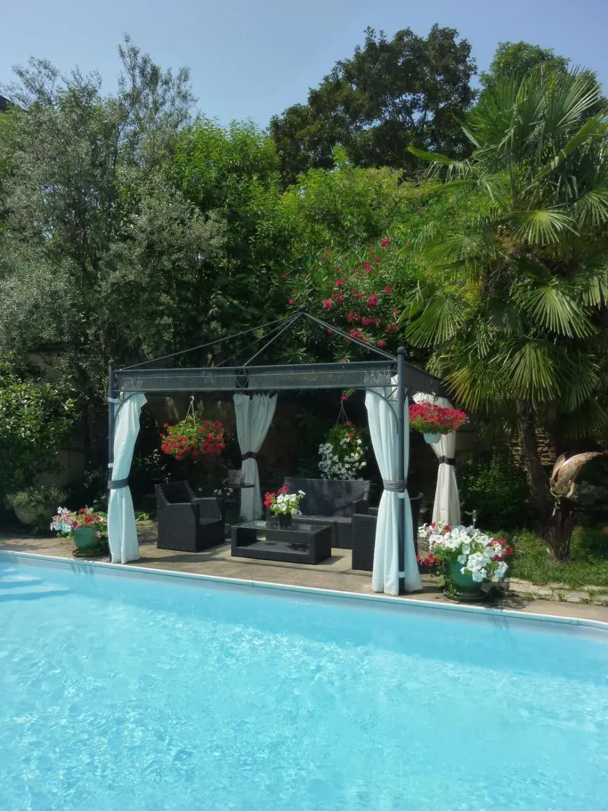 Garden, Swimming Pool in Hotel de France
