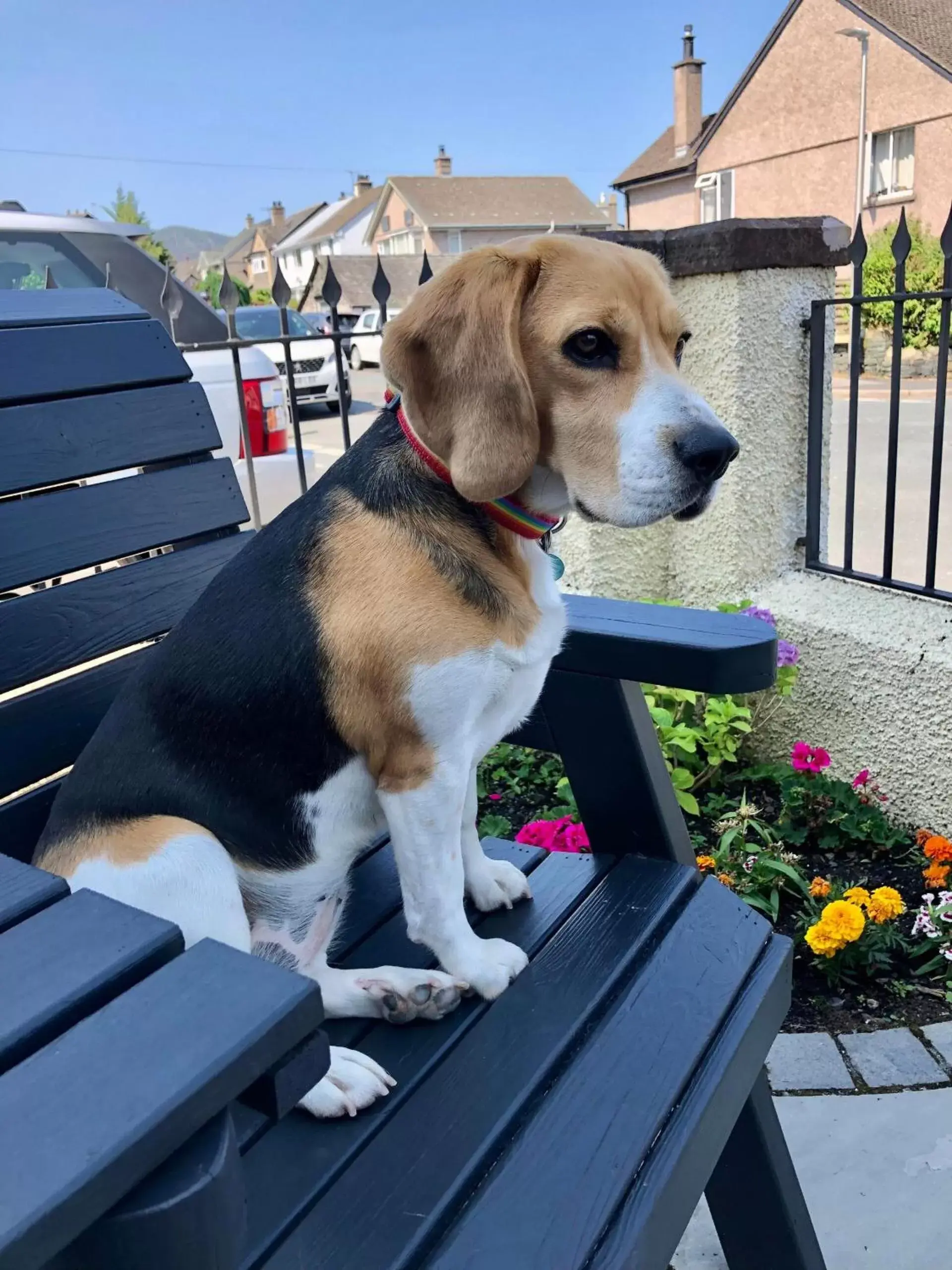 View (from property/room) in Salisbury Guest House View (from property/room) in Salisbury Guest House
