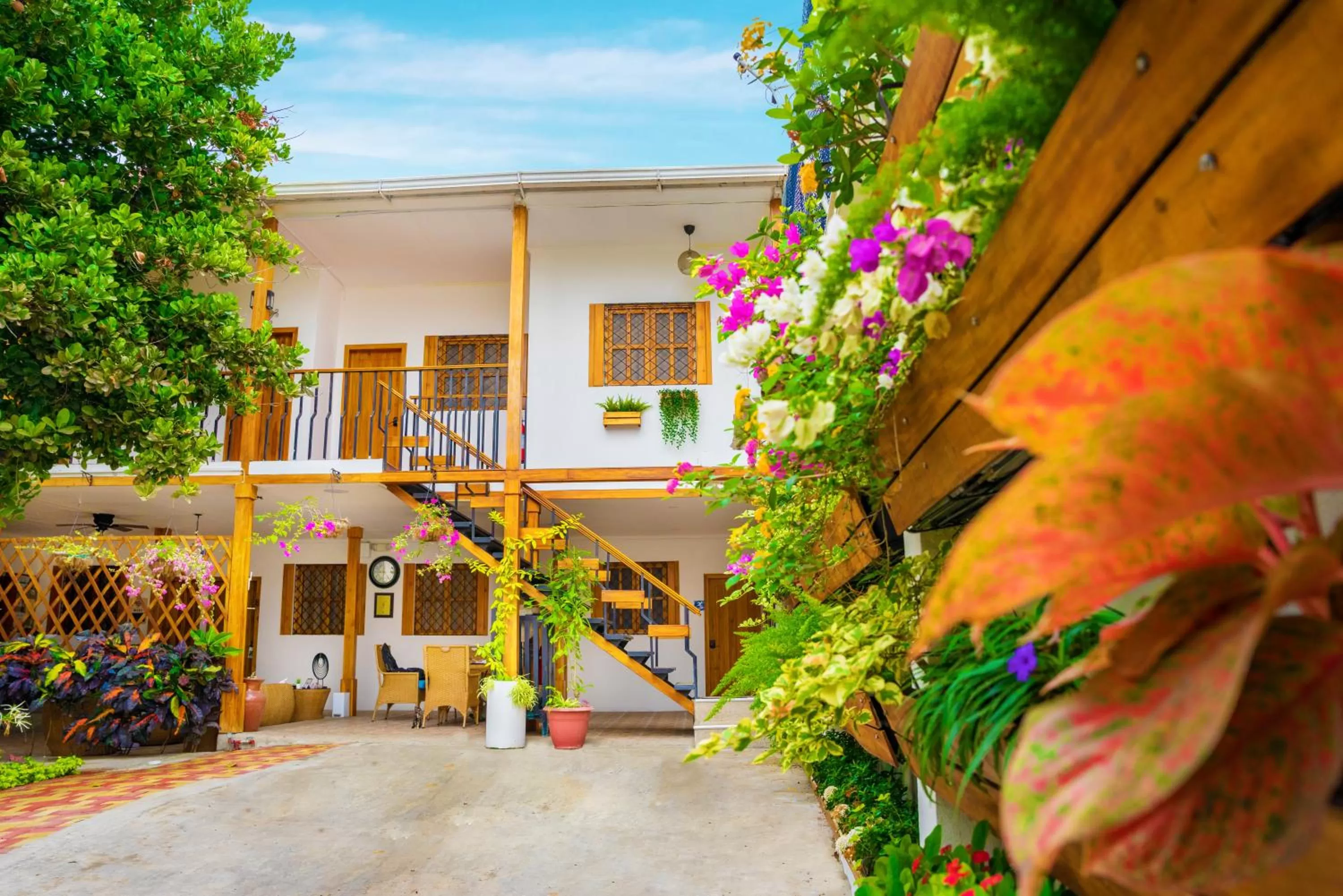 Garden in Hotel Boutique Platanal