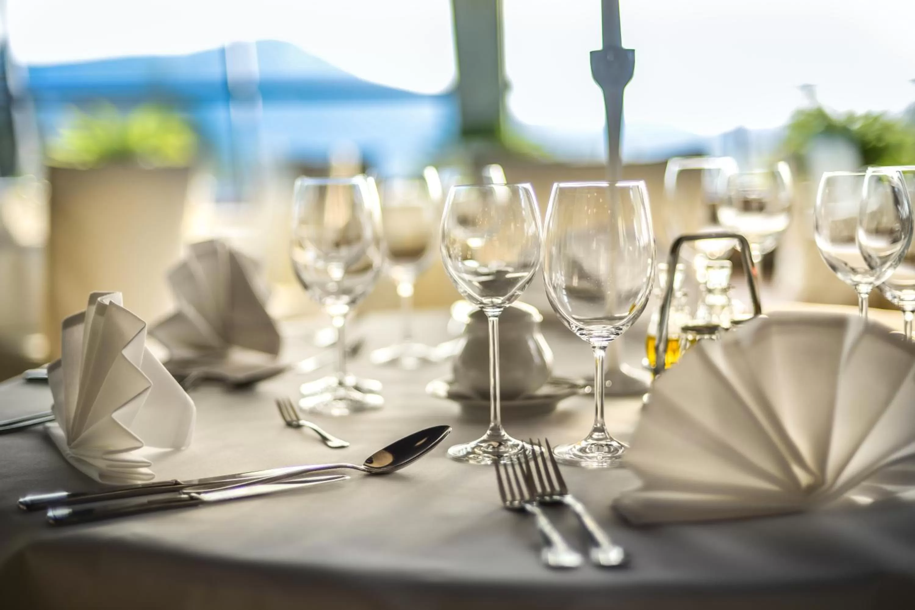 Restaurant/places to eat in Hotel Belweder