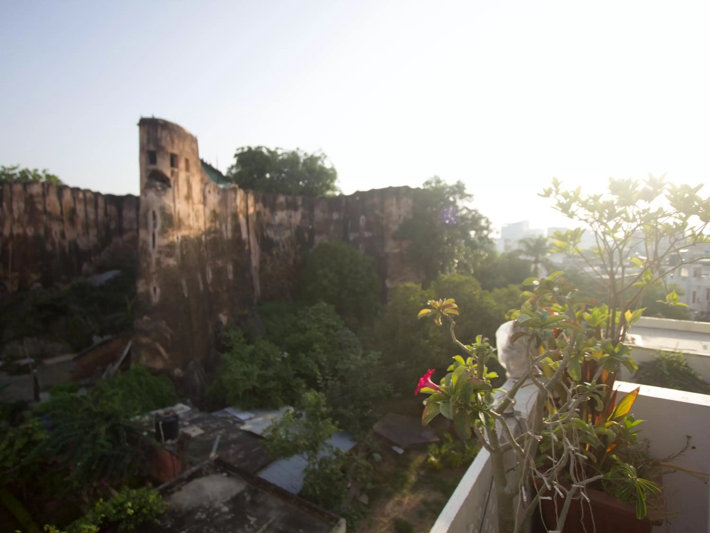 View (from property/room) in Chitra Katha - A Story Per Stay