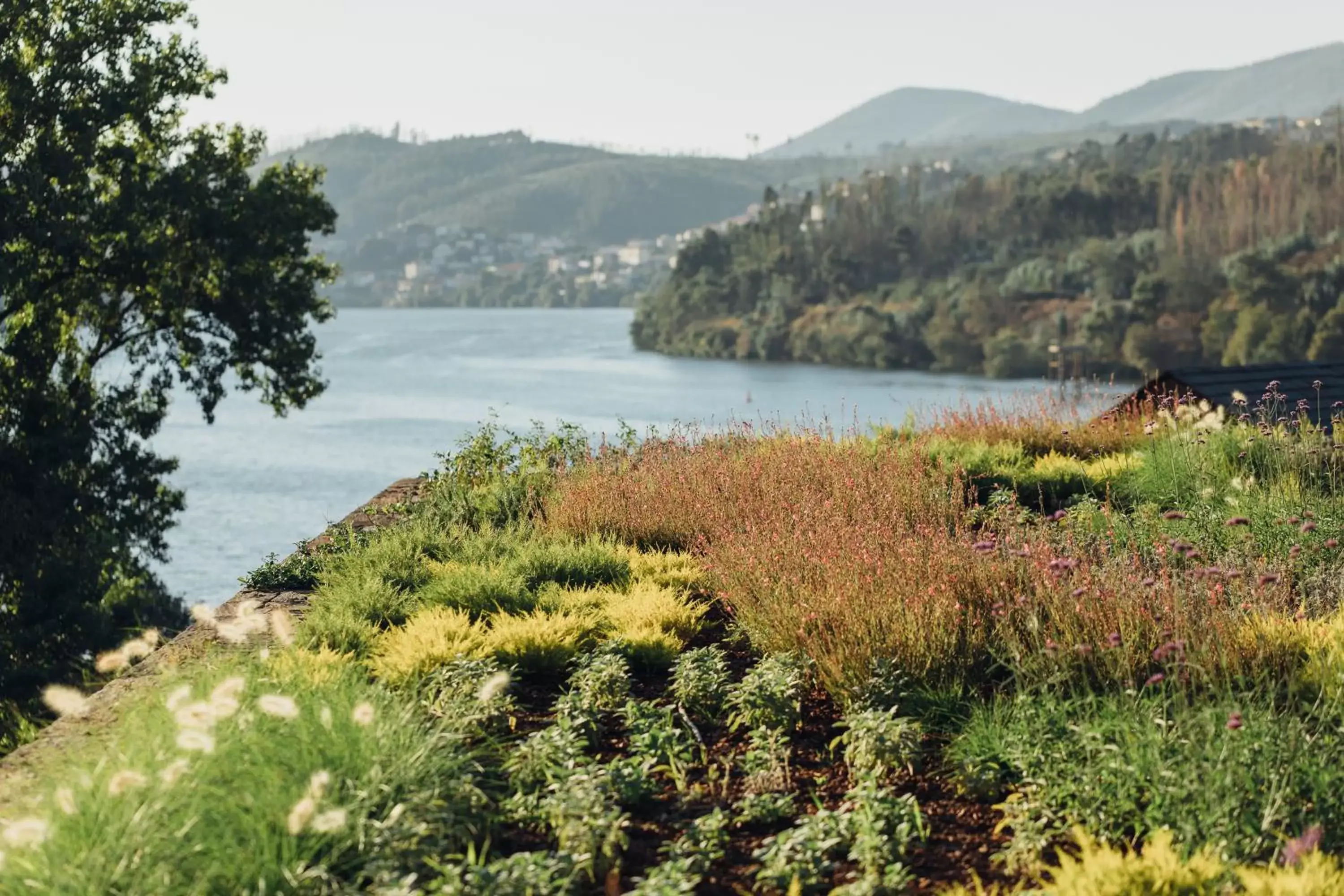 Garden in Octant Douro