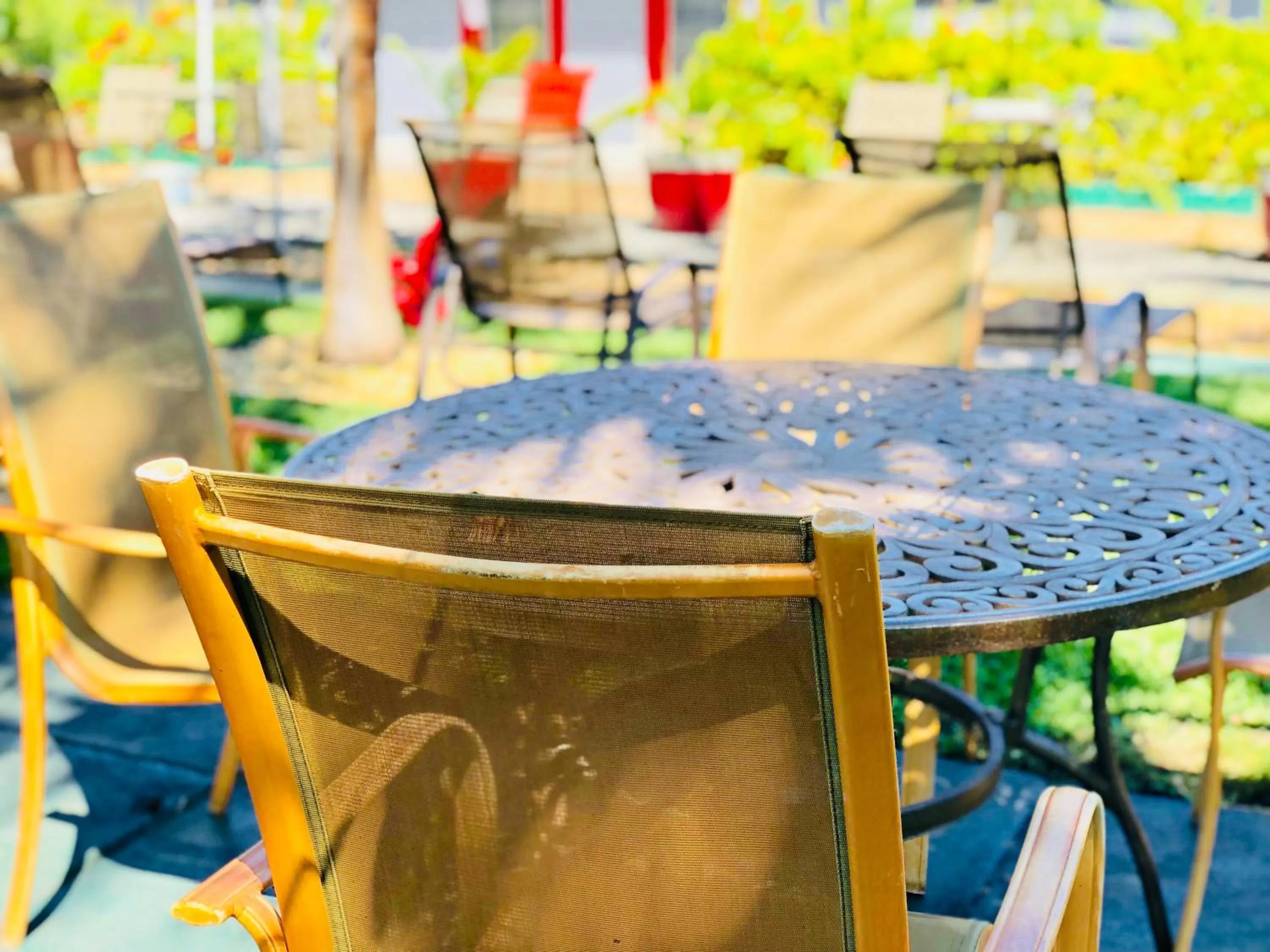 Patio in Hollywood Light Haven Lodge