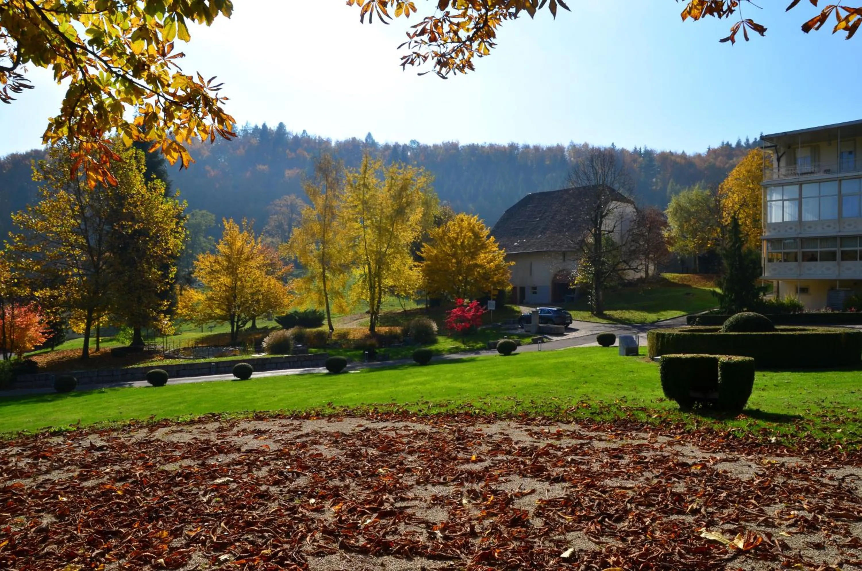 Day in Bad Schauenburg