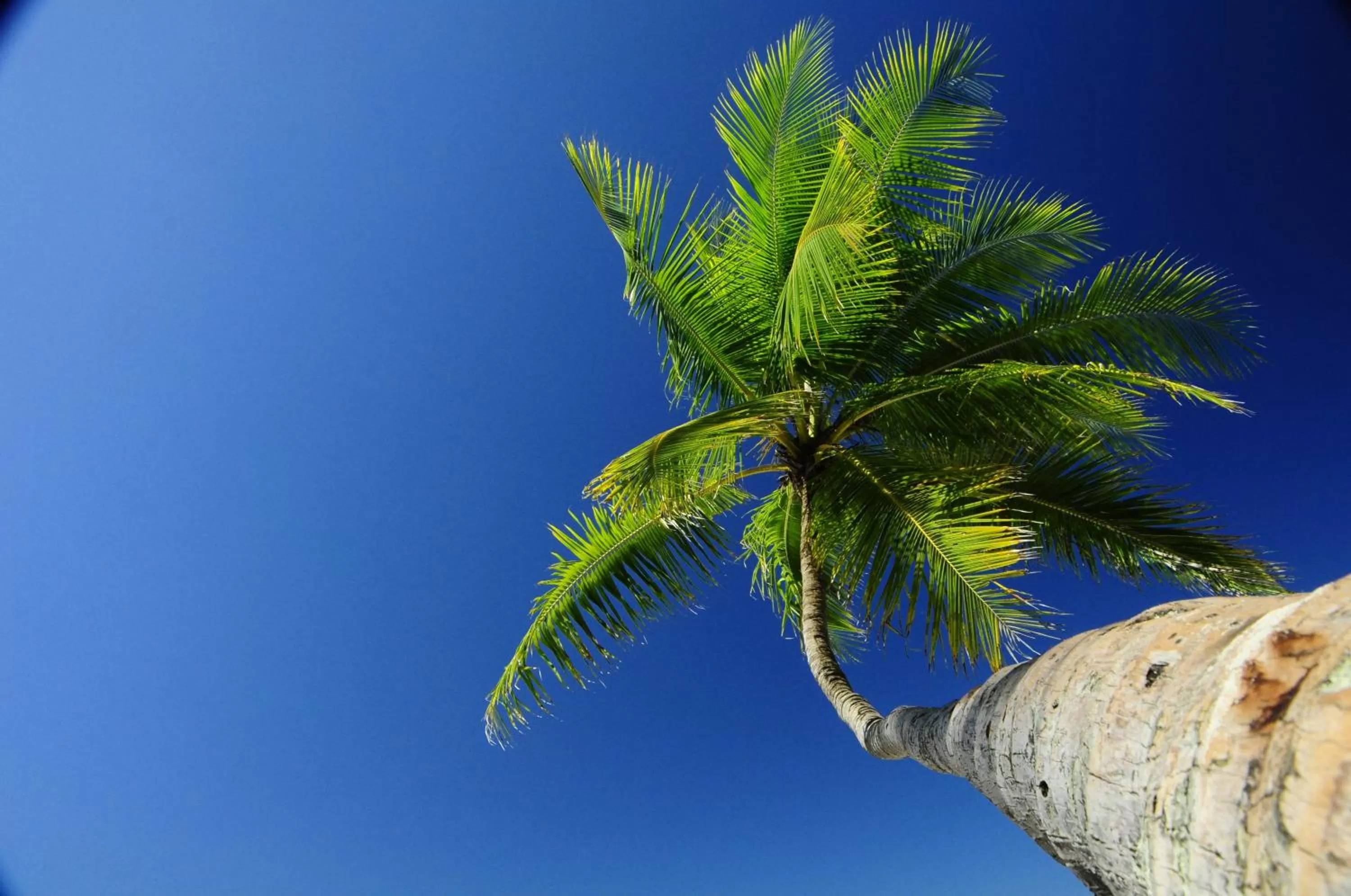 Area and facilities in Hotel Punta Leona