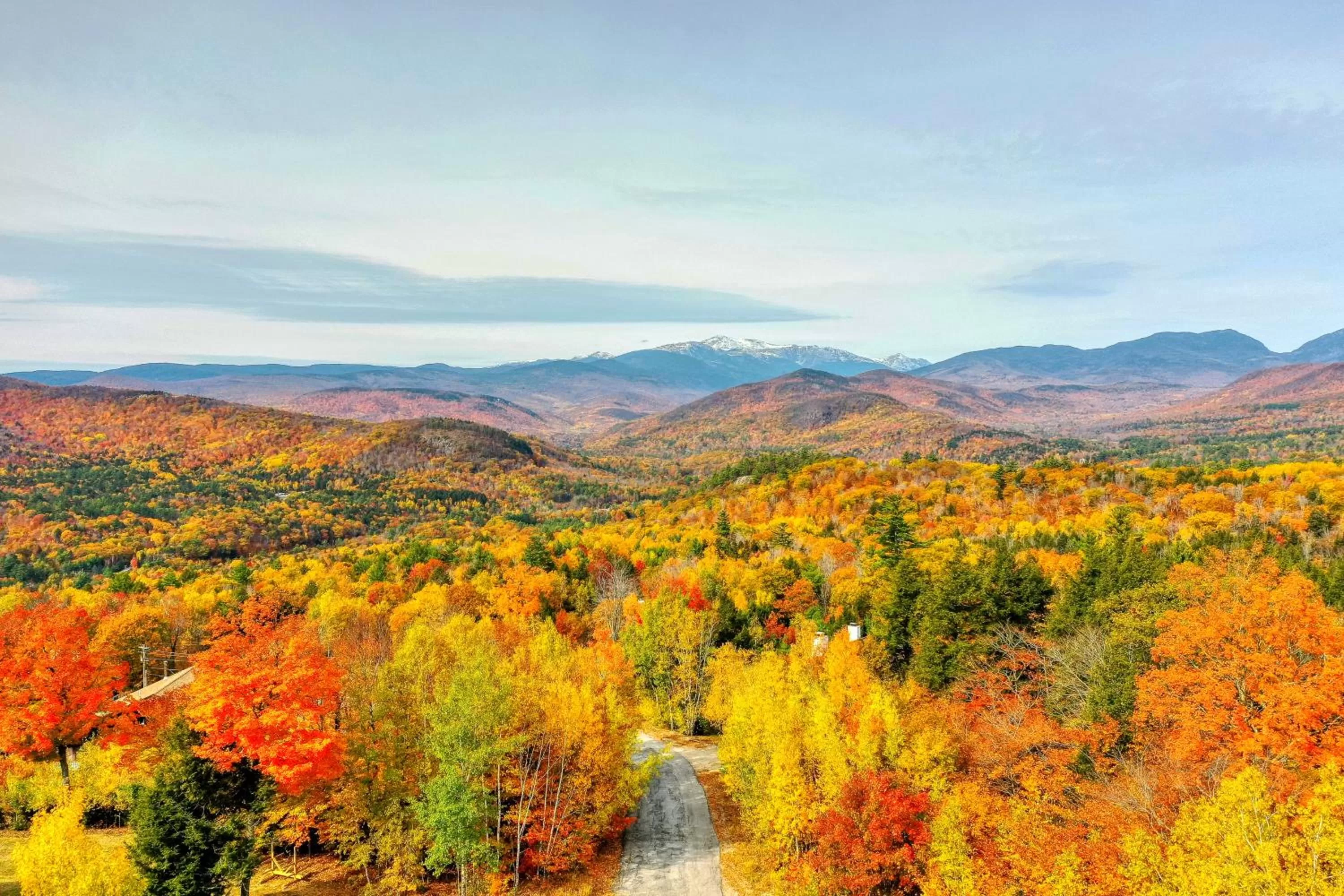 Natural Landscape in Mountain View Home