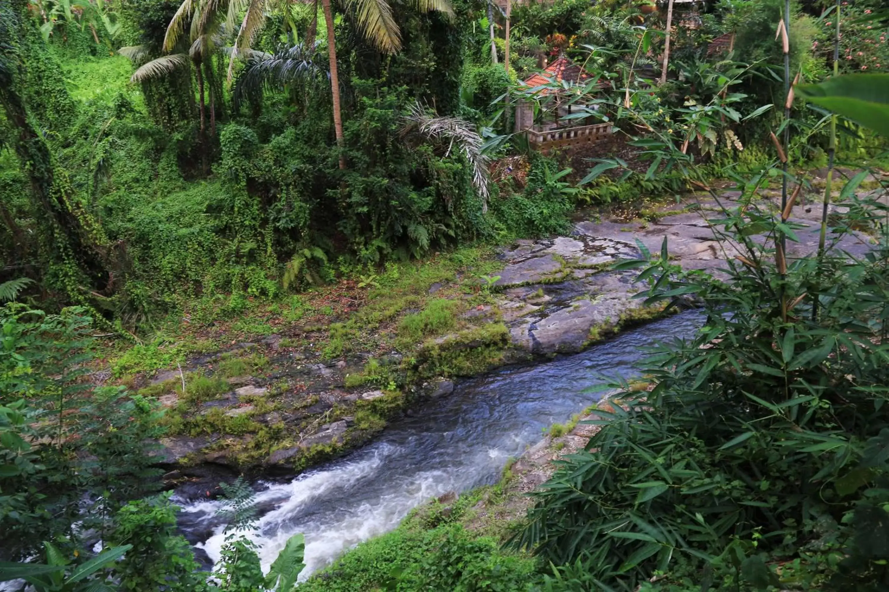 Natural Landscape in Labak River Hotel by EPS