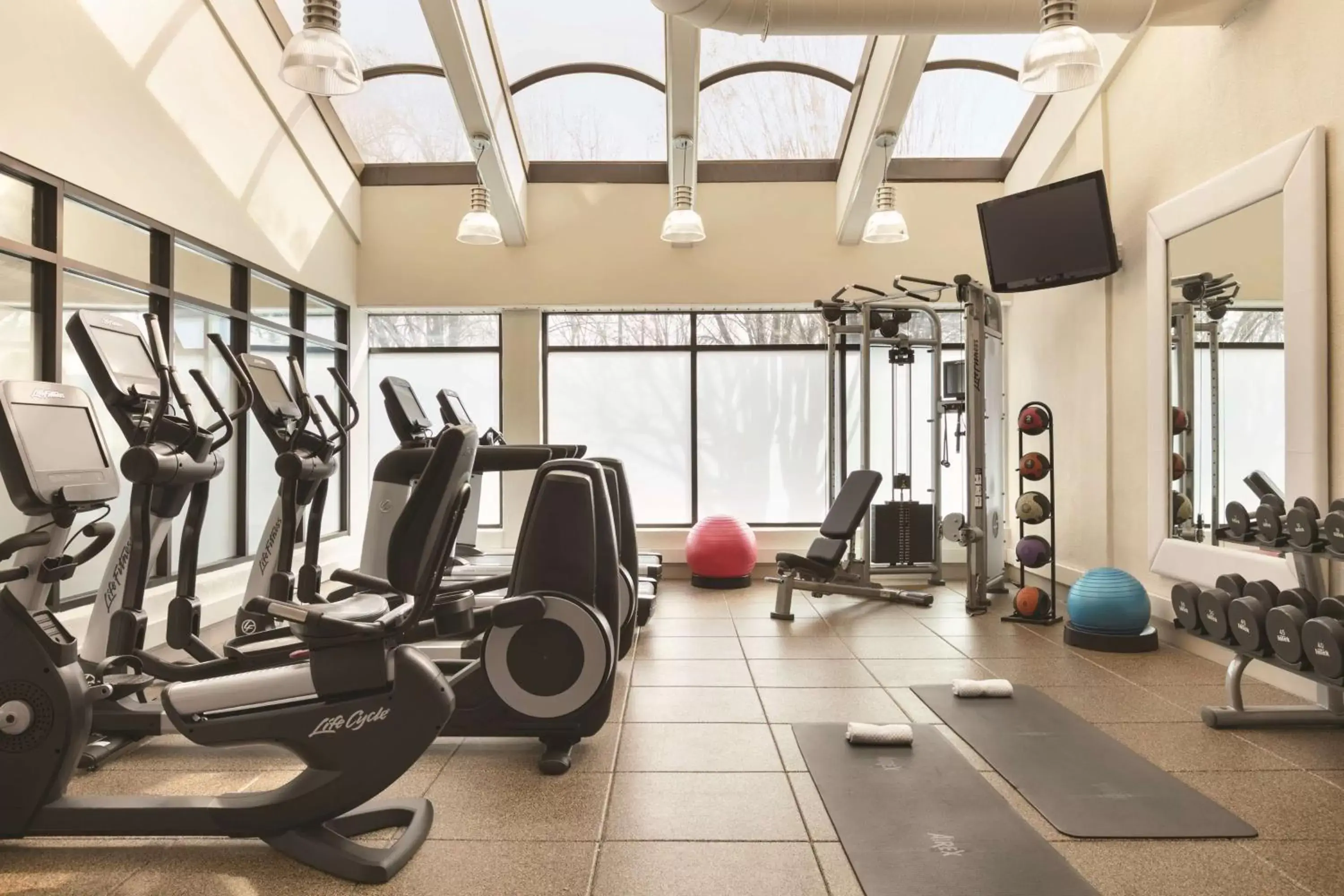 Fitness centre/facilities, Fitness Center/Facilities in Embassy Suites by Hilton Richmond