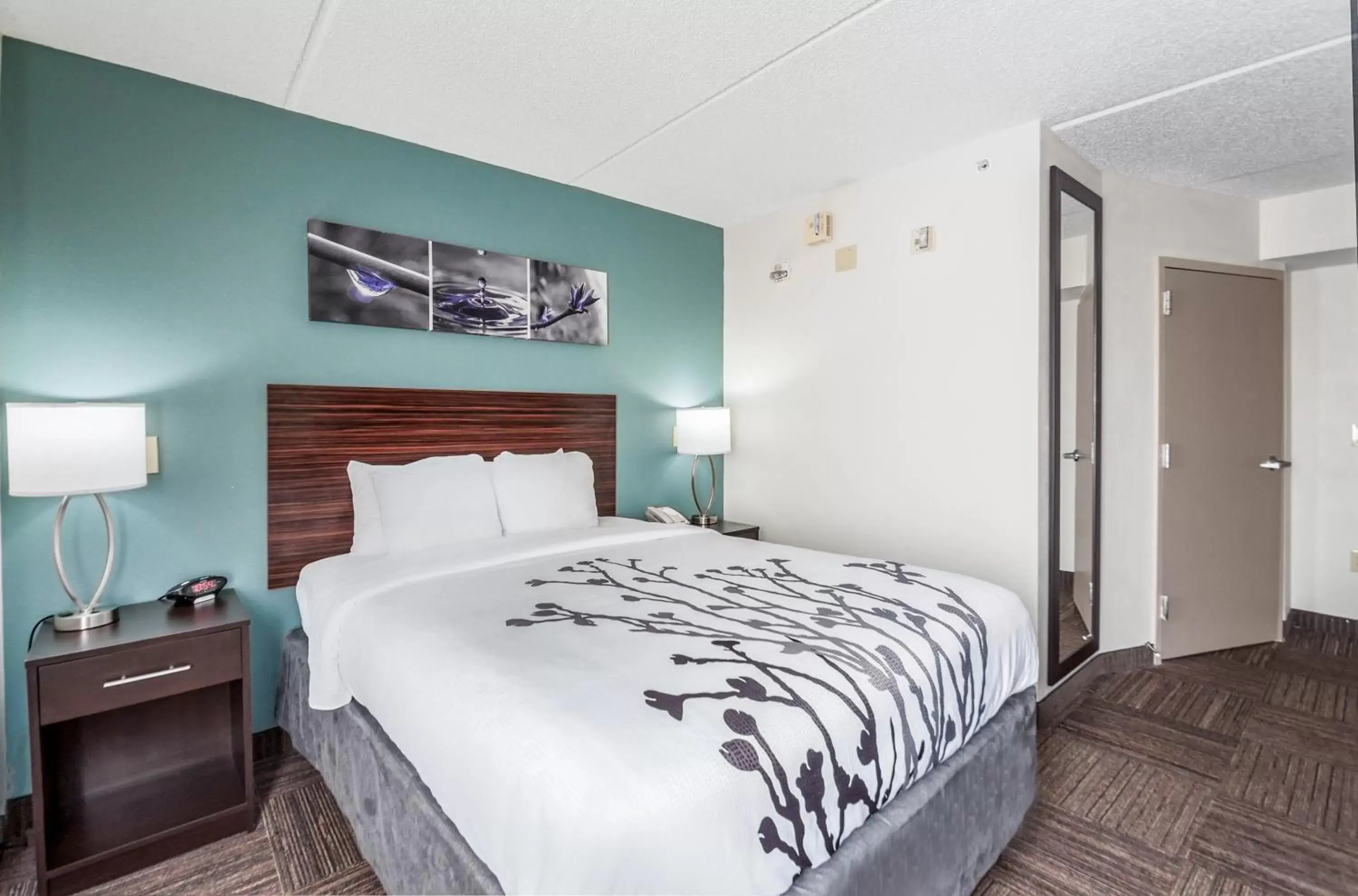 Bed in Sleep Inn & Suites Rehoboth Beach