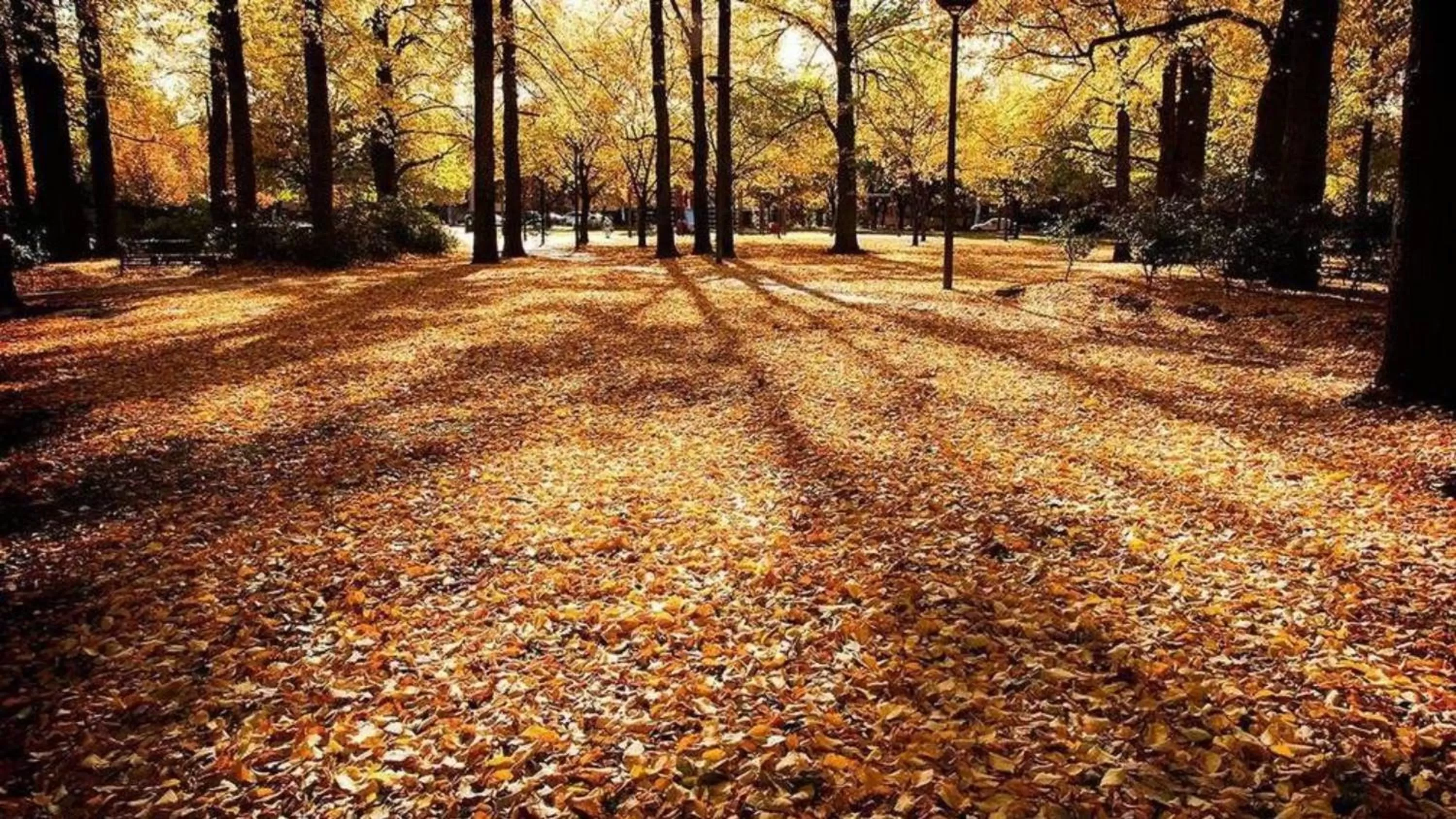 Nearby landmark in Crowne Plaza Canberra by IHG