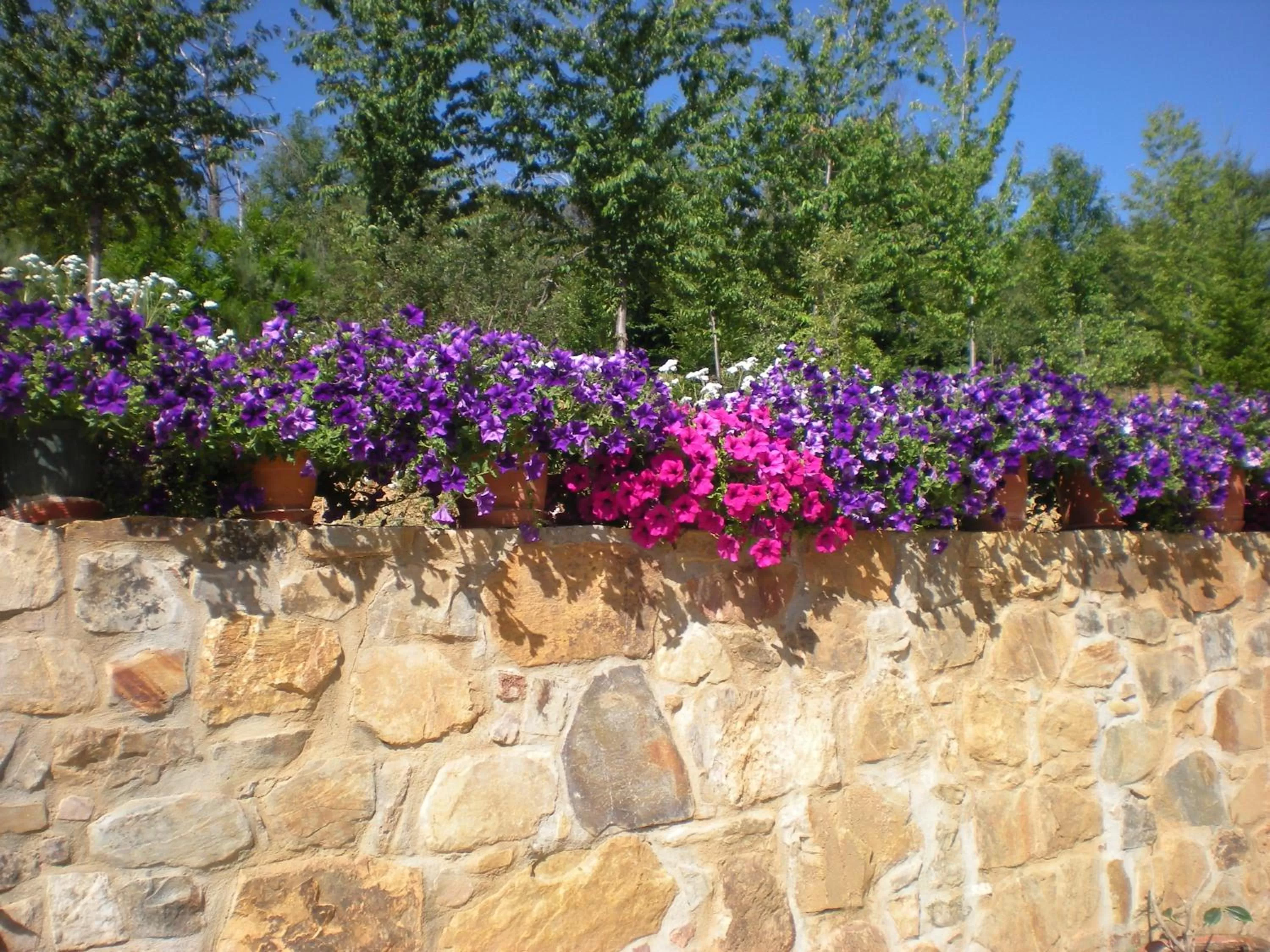 Garden view in Hotel Rural Casa Ana