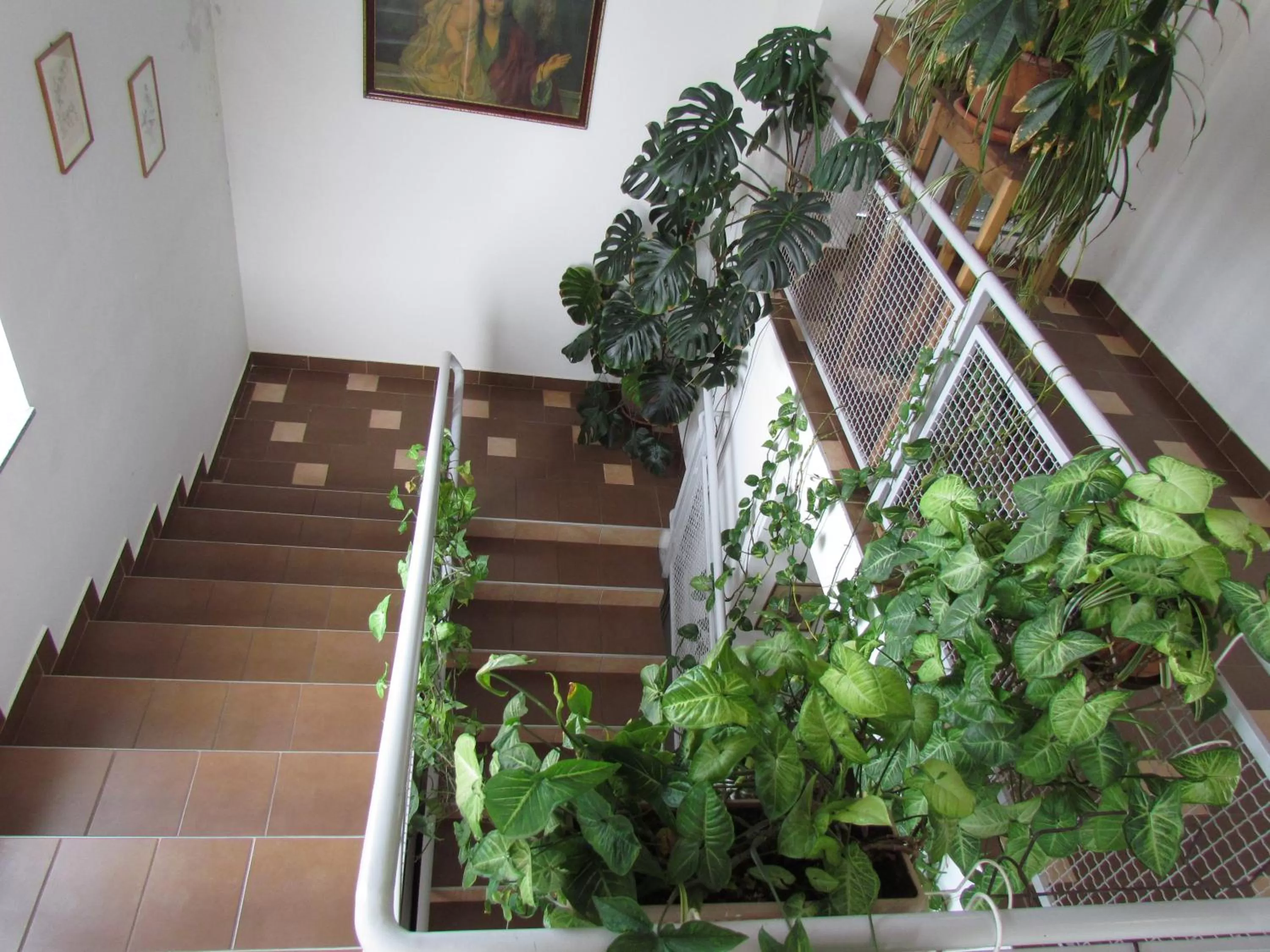 Garden in Vila Vanda Vukovar