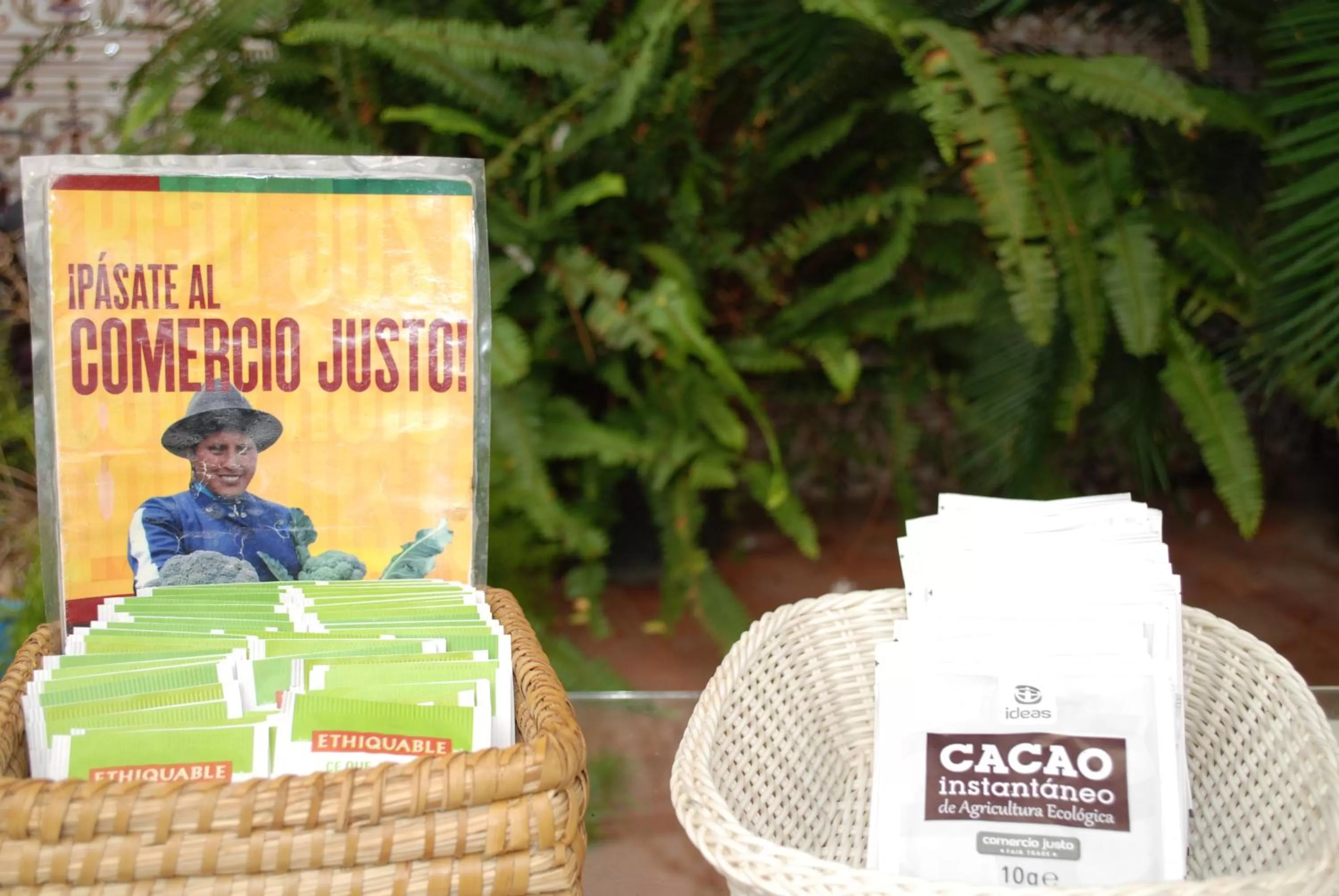 Breakfast in Backpacker Al-Katre