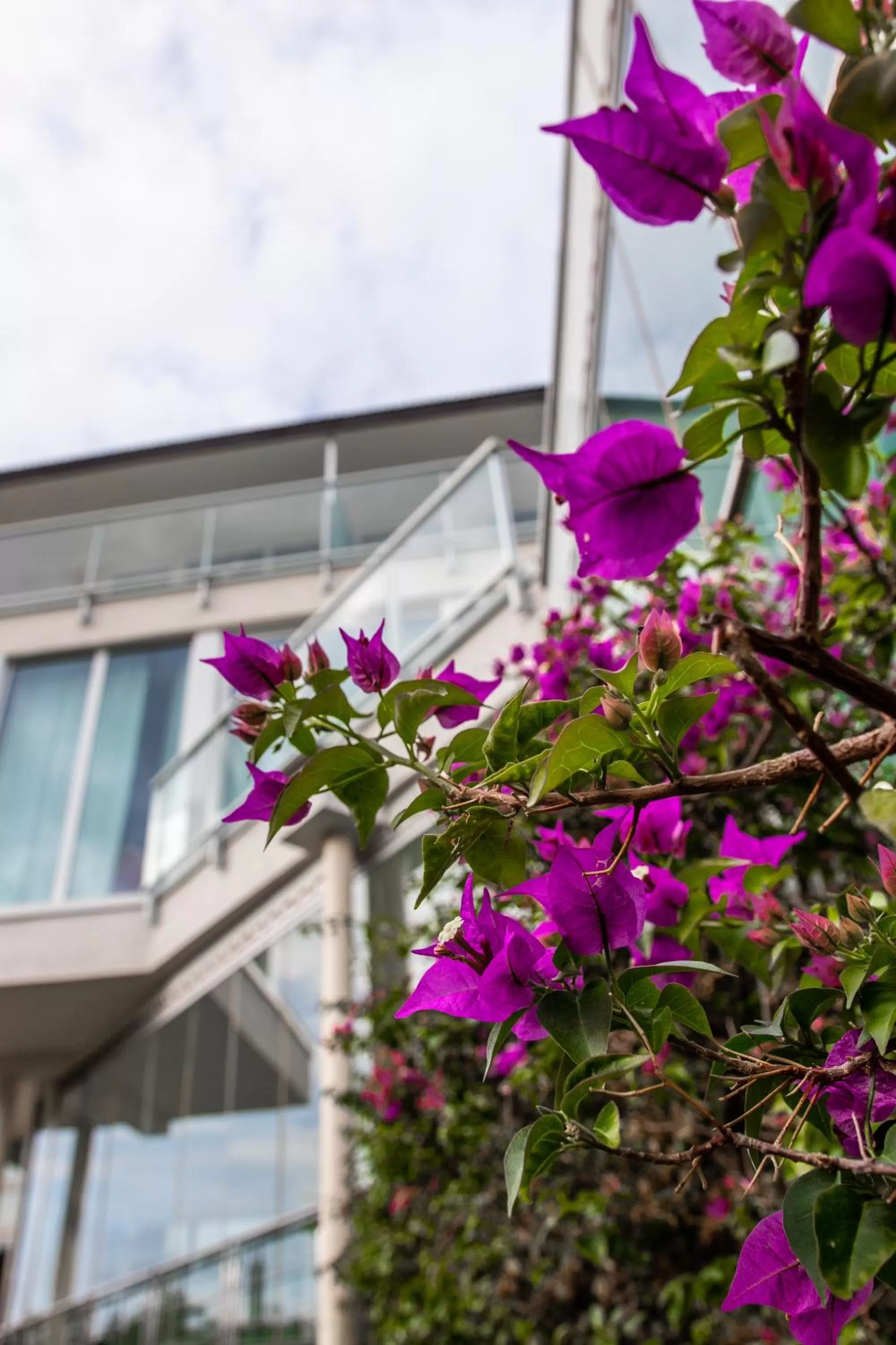 Property building in Poggio Hotel