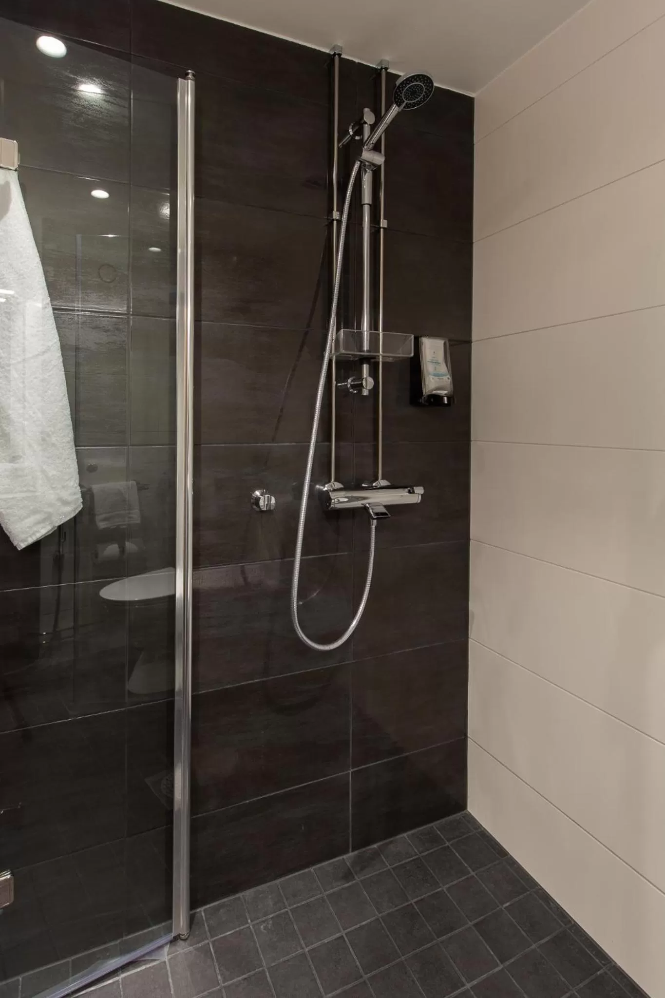 Shower in Hotel Linnasmäki