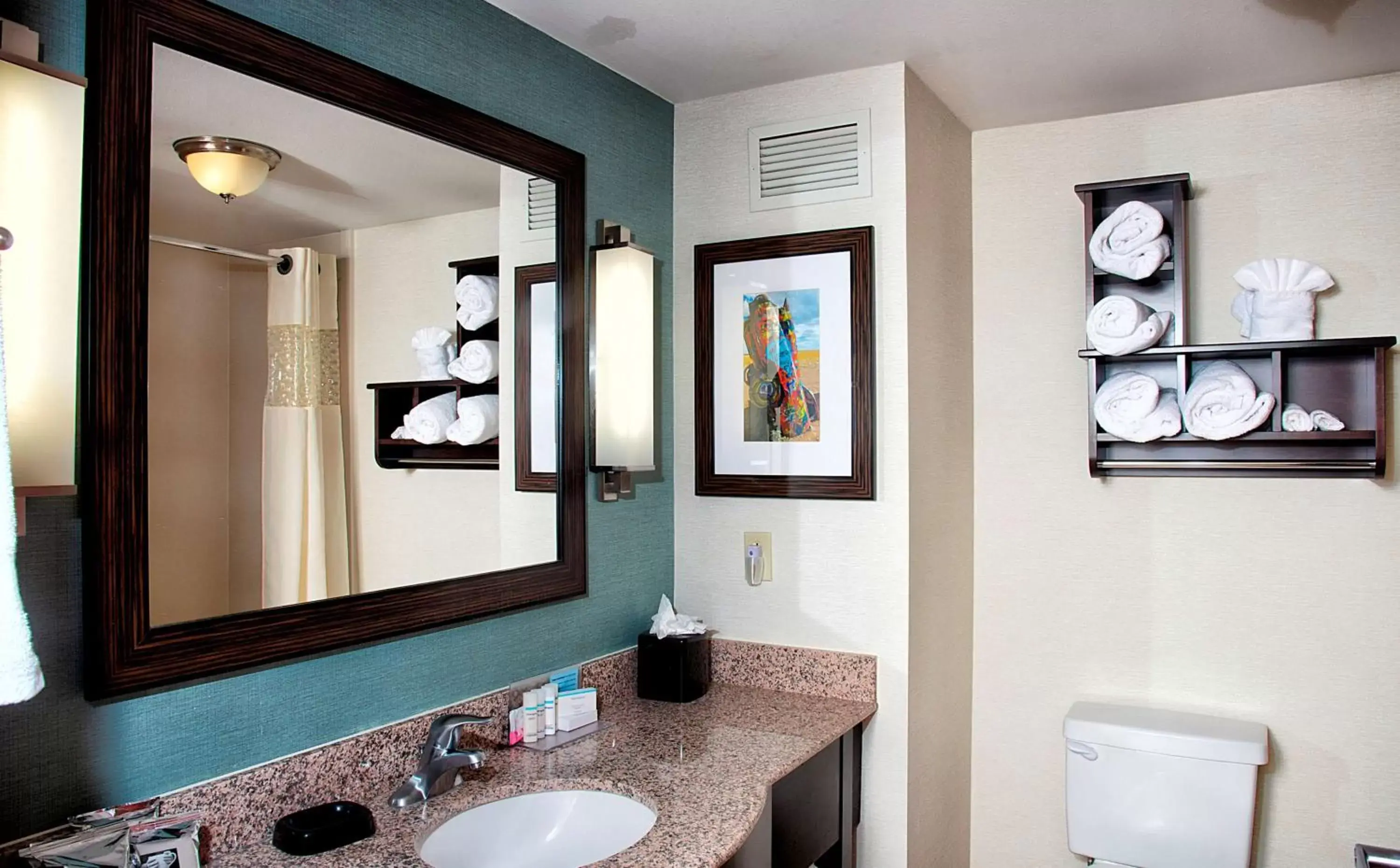 Bathroom in Hampton Inn and Suites Amarillo West