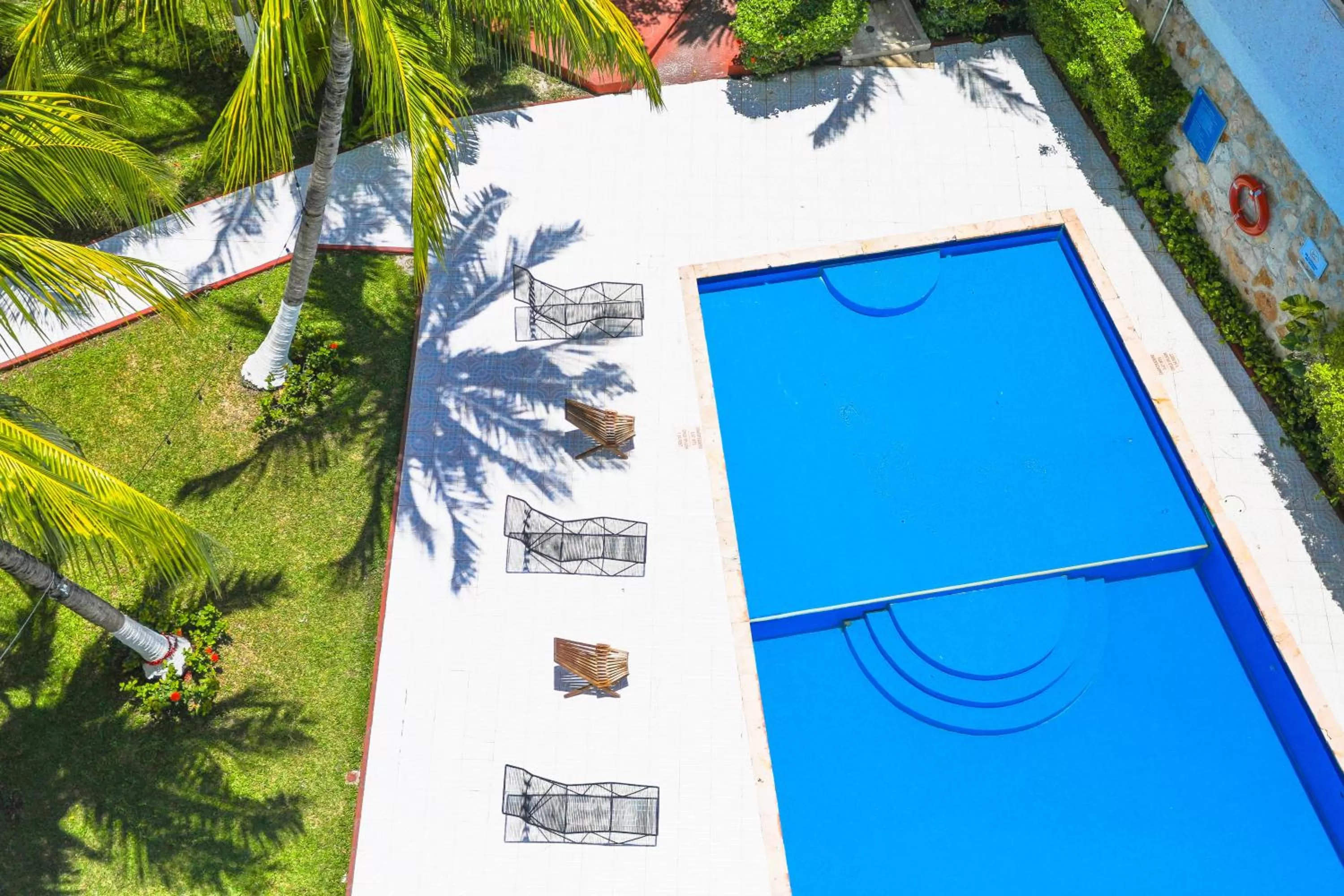 Garden in Hotel Caribe Internacional Cancun