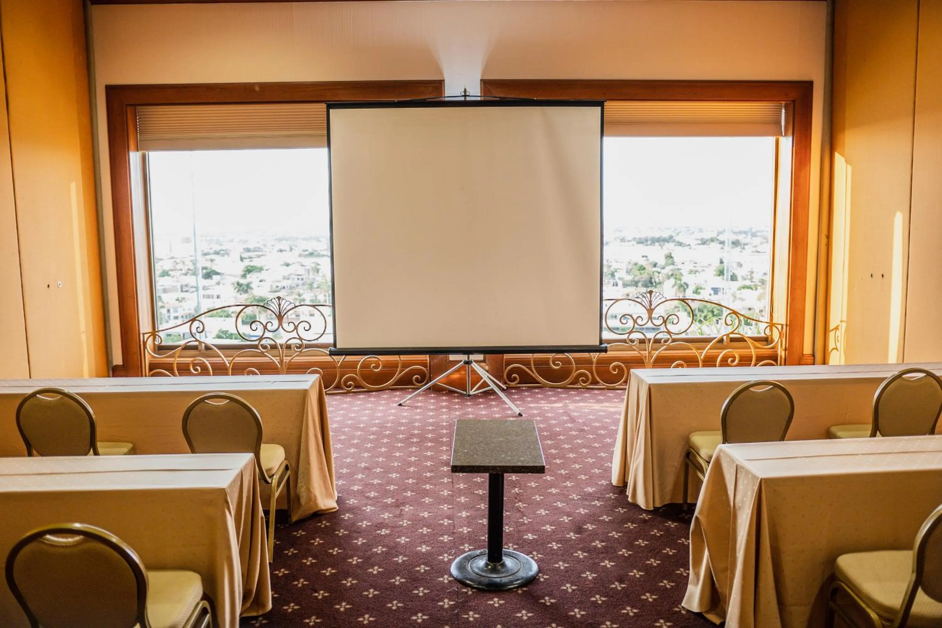 Business facilities in Hotel San Luis Lindavista