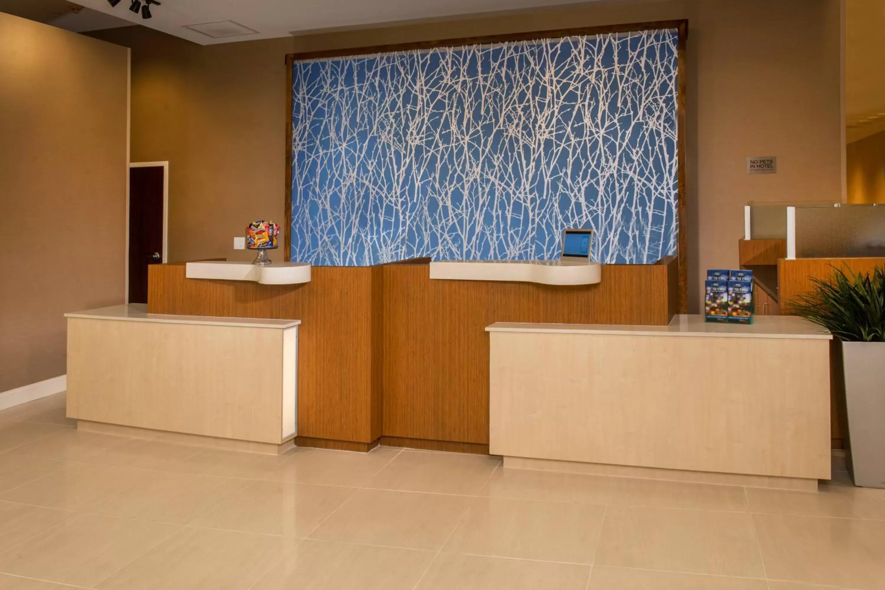 Lobby or reception, Lobby/Reception in Fairfield Inn & Suites by Marriott Washington