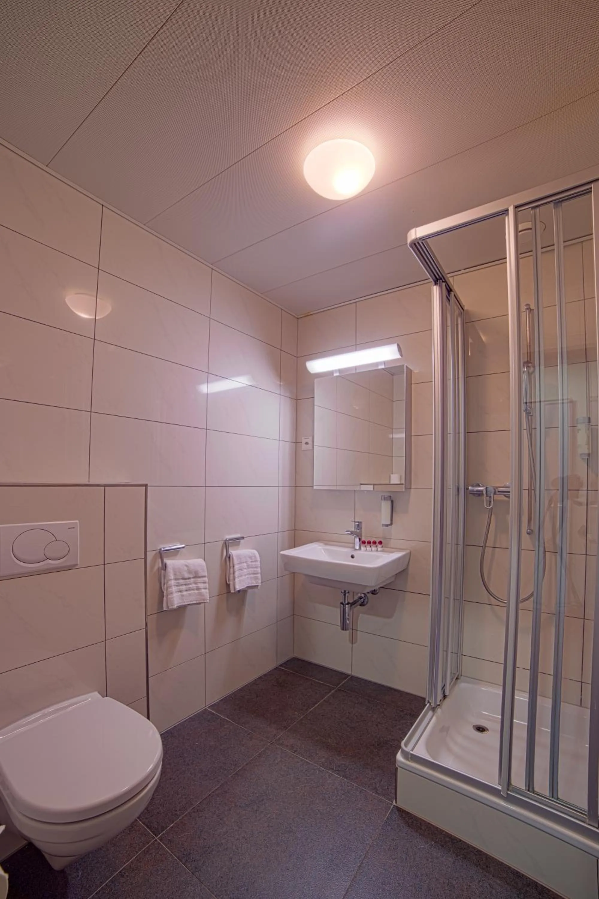 Shower in Hotel Sursee