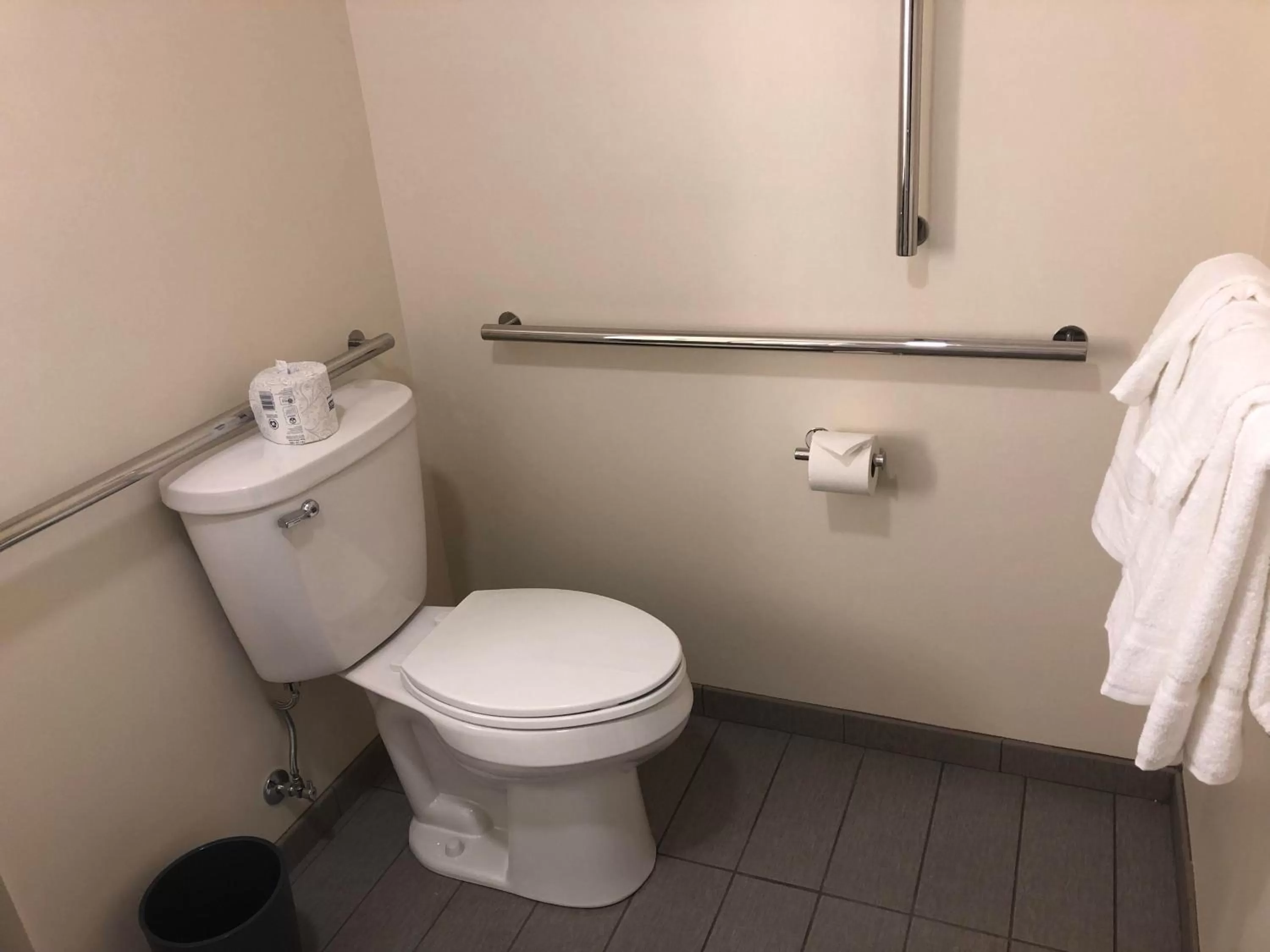 Bathroom in Holiday Inn Hotel & Suites - Mount Pleasant by IHG