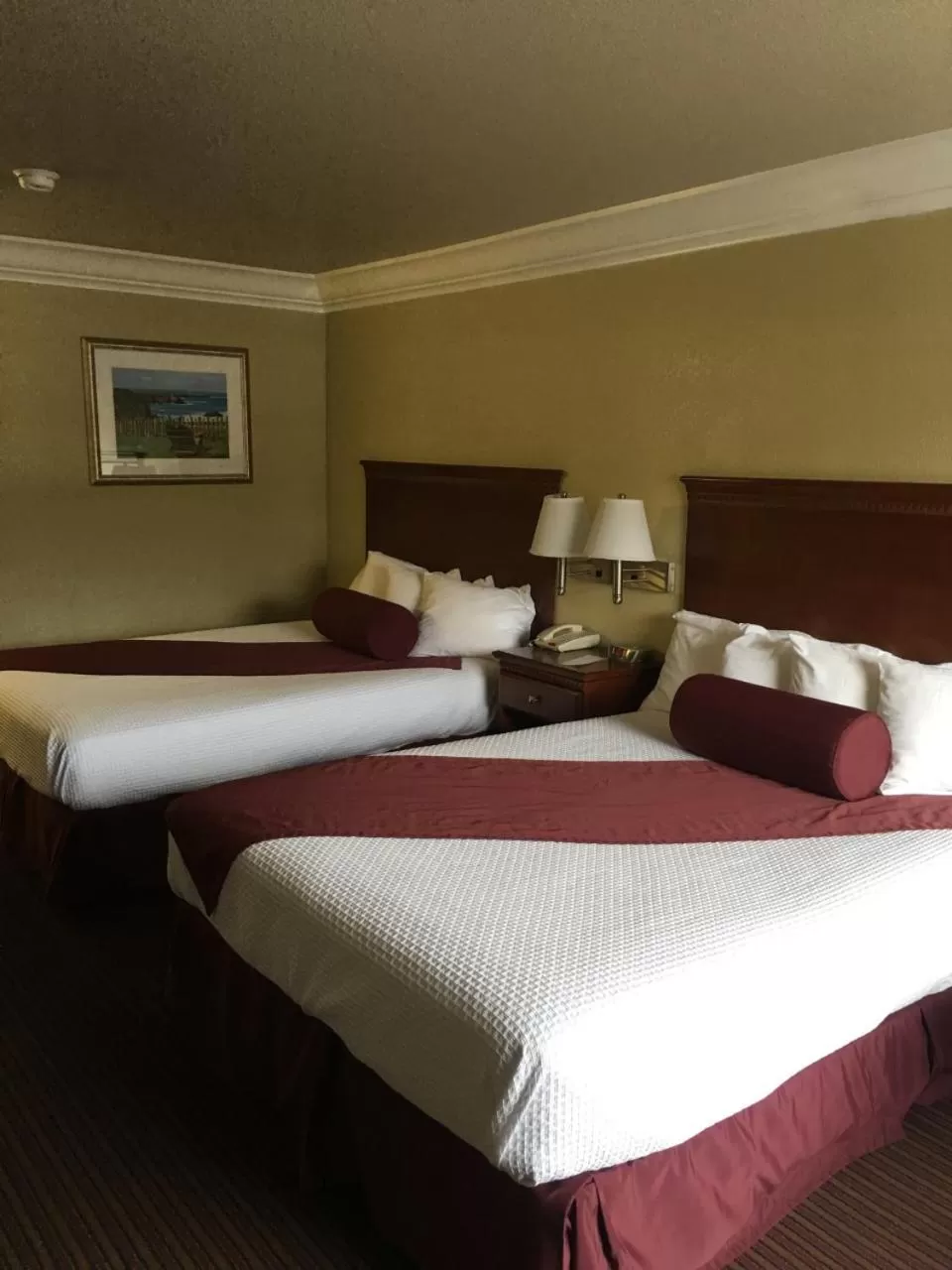 Best Western Willits Inn