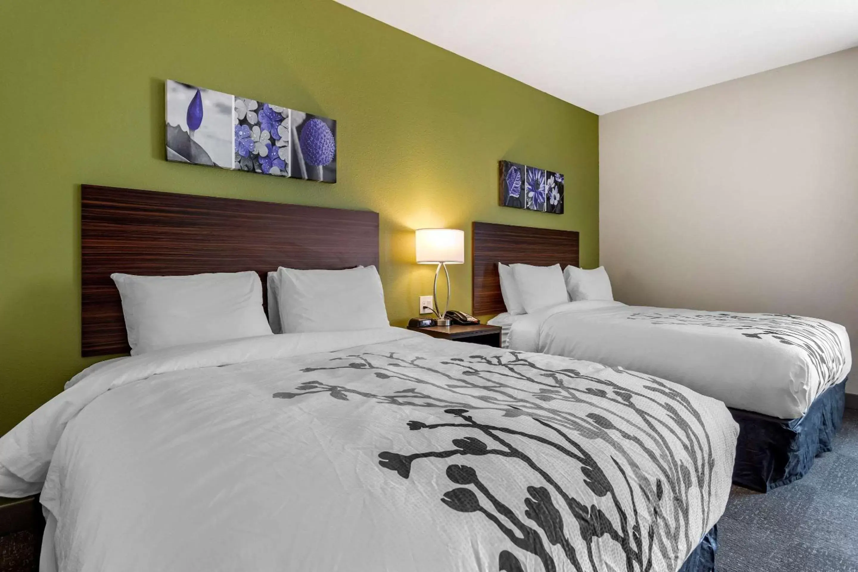 Bedroom, Bed in Sleep Inn & Suites