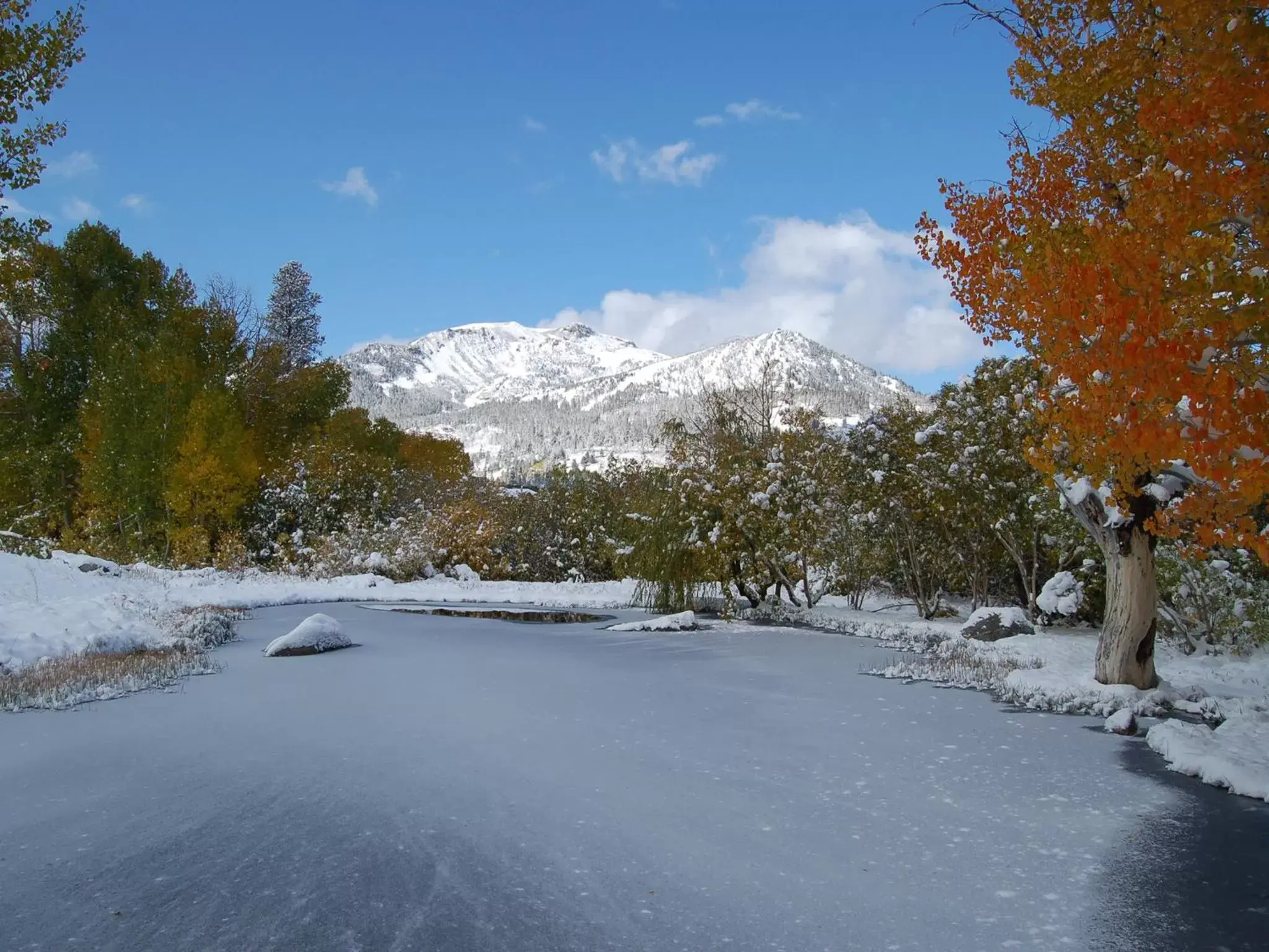 View (from property/room), Winter in Snowcreek Resort Vacation Rentals