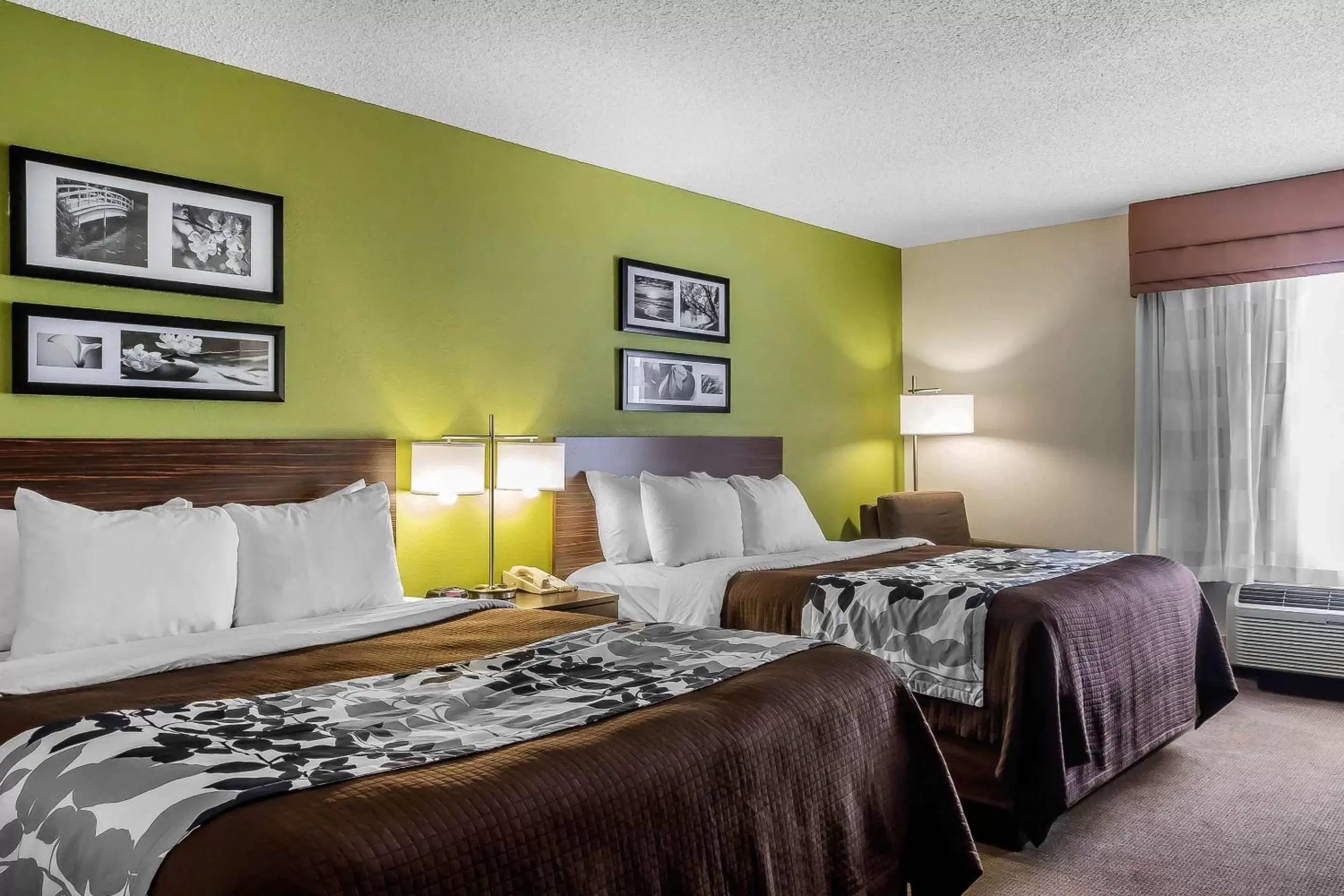 Photo of the whole room, Bed in Sleep Inn & Suites Dothan North