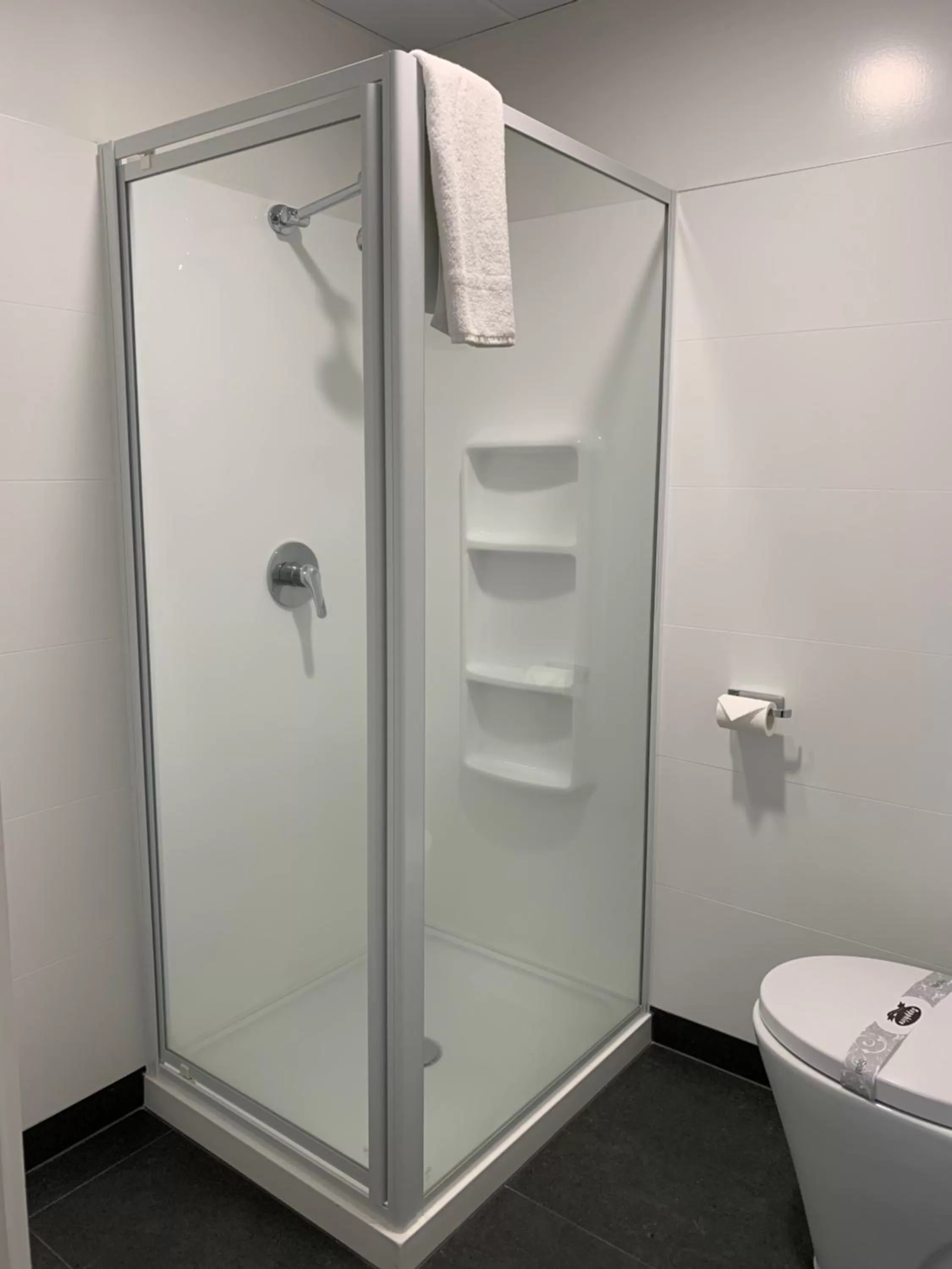 Shower in Hotel Armitage and Conference Centre